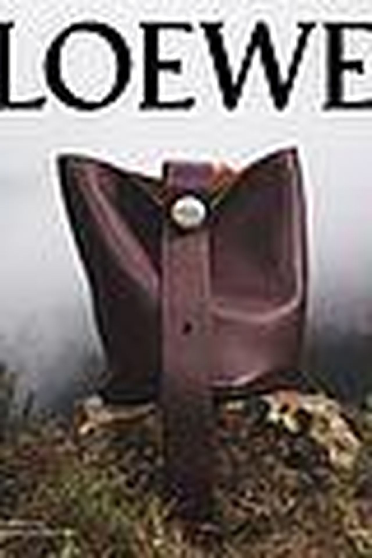 source:justjared - Dettagli sulla campagna di Loewe - taylor russell drew starkey loewe campaign 11