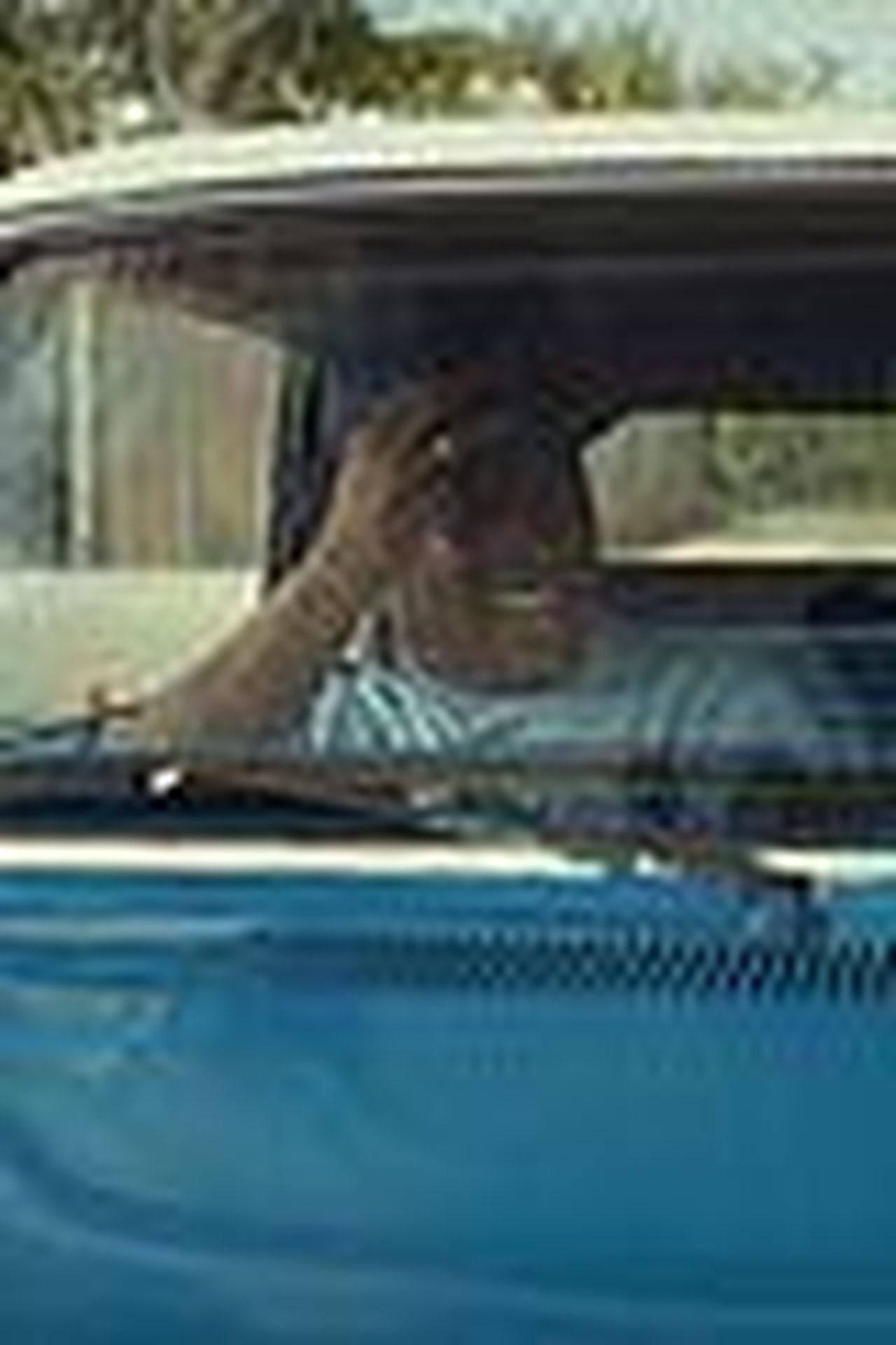 source:justjared - Dettagli sulla serie Clean Slate - Laverne Cox in Clean Slate