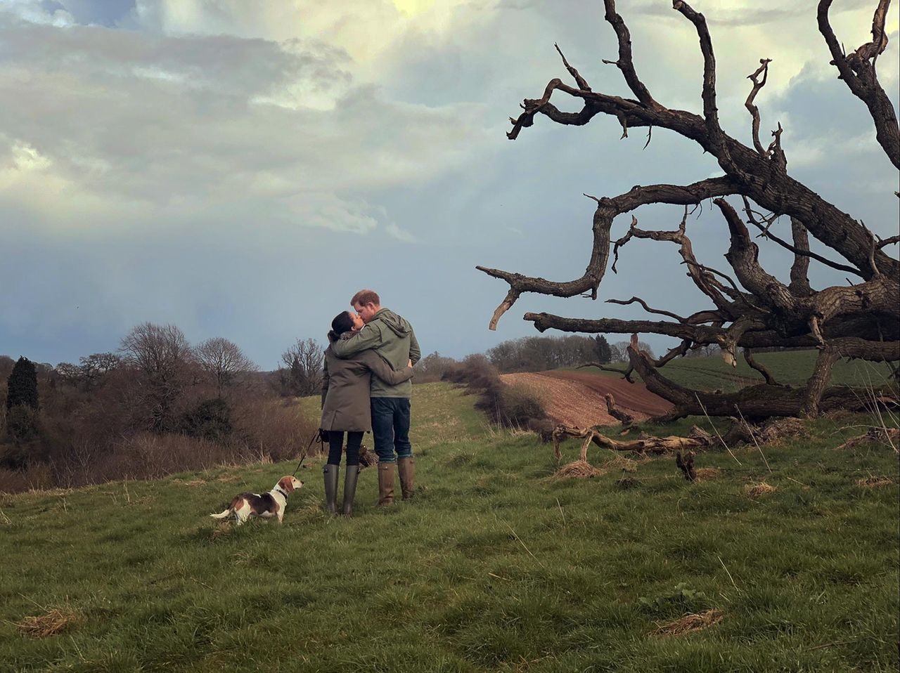 Furti_di_scena_P5j5Q0WtoD - Confidenze24 source:usmagazine - Furti di scena - Il beagle di Harry e Meghan.