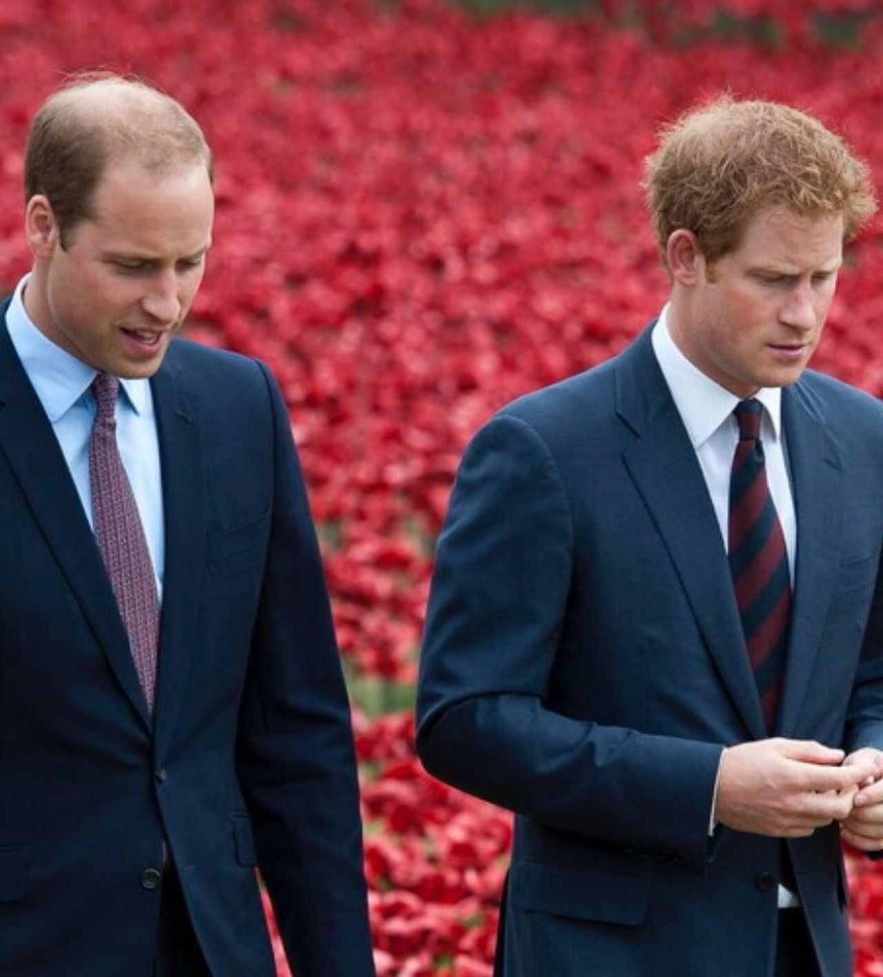Harry_e_Meghan_umiliati_da_Kate_e_William_il_motivo_YEfuvMW8wM - Confidenze24 source:tvzap - Harry e Meghan umiliati da Kate e William: il motivo - William e Harry