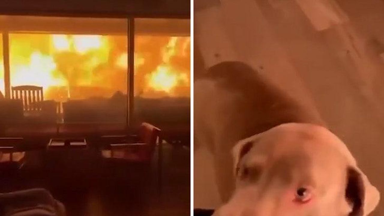 Immagini_dellincendio_a_Los_Angeles_VFbs40w27L - Confidenze24 source:allcelebrities - Immagini dell'incendio a Los Angeles - Fiamme a Los Angeles