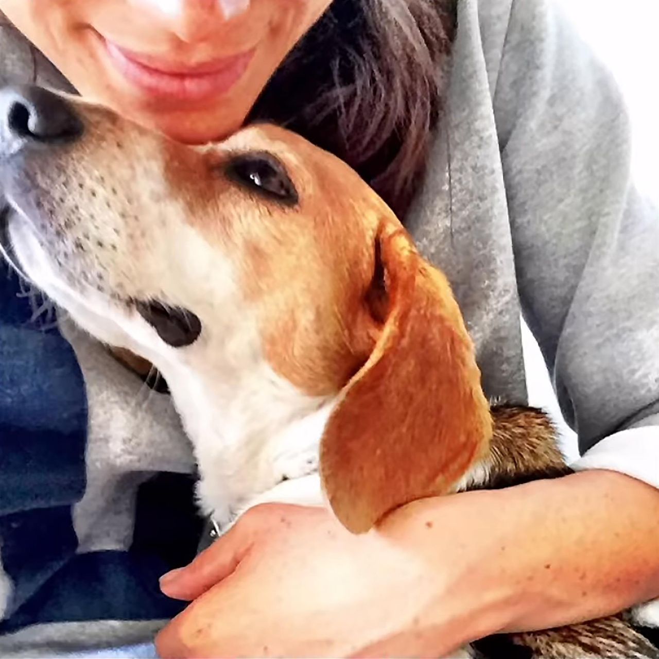 Innamorarsi_dei_cani_di_Meghan_QYLpY6s3LG - Confidenze24 source:usmagazine - Innamorarsi dei cani di Meghan - Harry e i cani di Meghan.