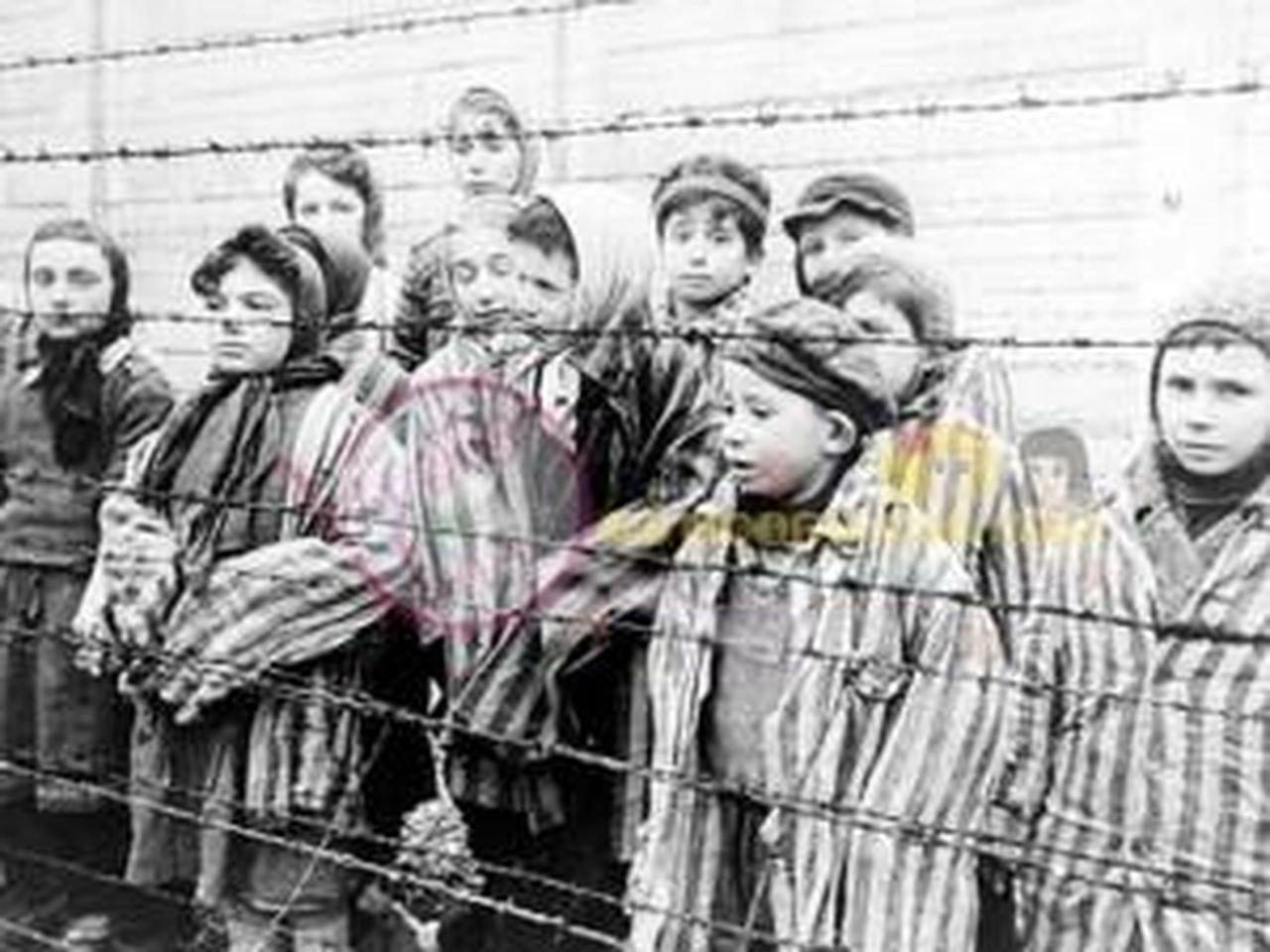 LEntrata_dellArmata_Rossa_ad_Auschwitz_nGhP9B35sz - Confidenze24 L'Entrata dell'Armata Rossa ad Auschwitz - Bambini ad Auschwitz