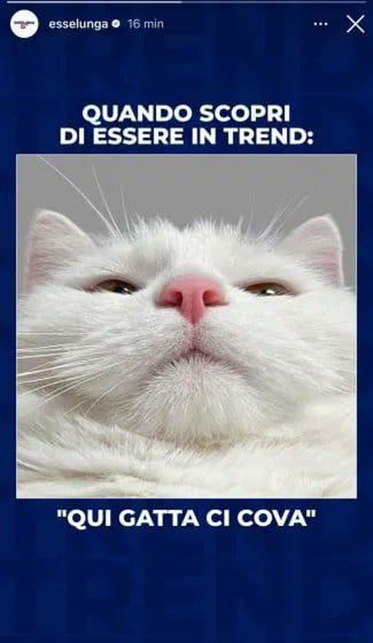 source:quilink - La dichiarazione che ha scatenato il web - La risposta di Shaila Gatta all'Esselunga