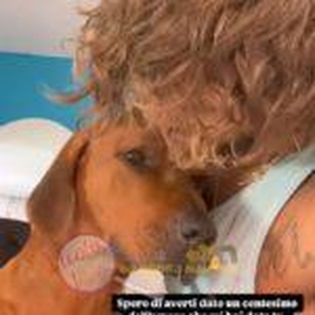 source:il vicolo delle news - Le toccanti parole di Sona sui social - Claudio Sona e Oscarino