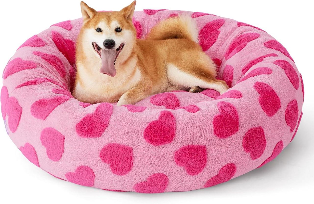 Letto_antiansia_Lesure_Cr3I3SOhEl - Confidenze24 source:sheknows - Letto anti-ansia Lesure - Lesure valentine dog bed