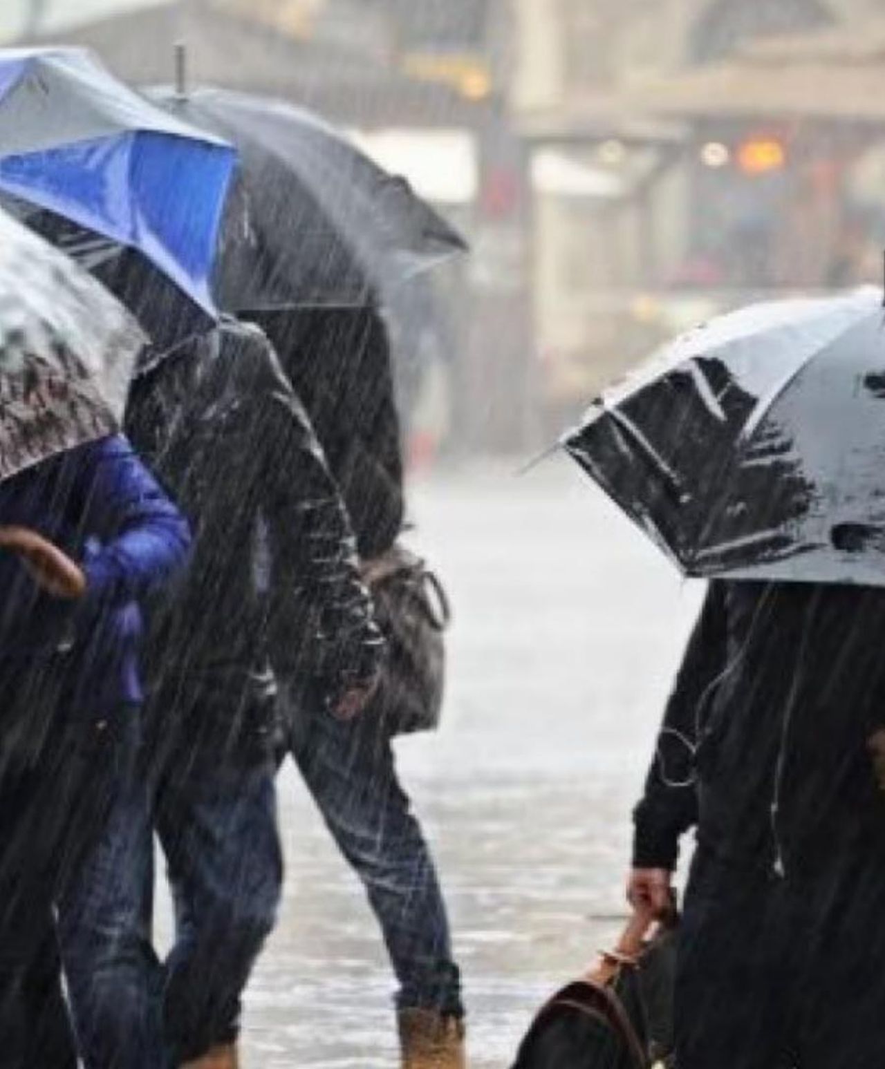 Maltempo_allerta_meteo_per_domani_15_Gennaio_le_regioni_a_rischio_EFjw1oi4YH - Confidenze24 source:tvzap - Maltempo, allerta meteo per domani 15 Gennaio: le regioni a rischio - Immagine di maltempo