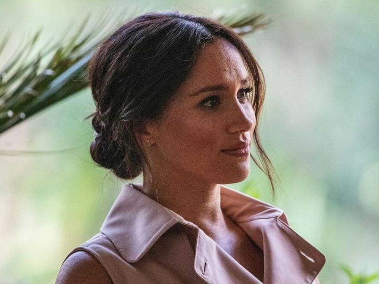 source:thehollywoodgossip - Meghan Markle piange il suo cane, Guy - Meghan Markle piange il suo amato cane: ‘Il mio dolce Guy’