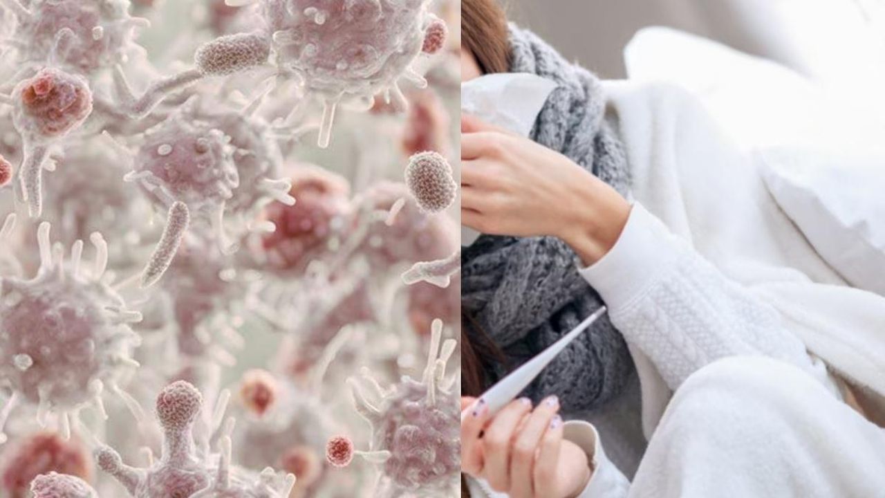 Scoperto_un_nuovo_virus_causa_sintomi_di_malattia_febbrile_26_casi_accertati_nOo49IP2cK - Confidenze24 source:tvzap - Scoperto un nuovo virus, causa sintomi di malattia febbrile: 26 casi accertati - Immagine del virus febbrile