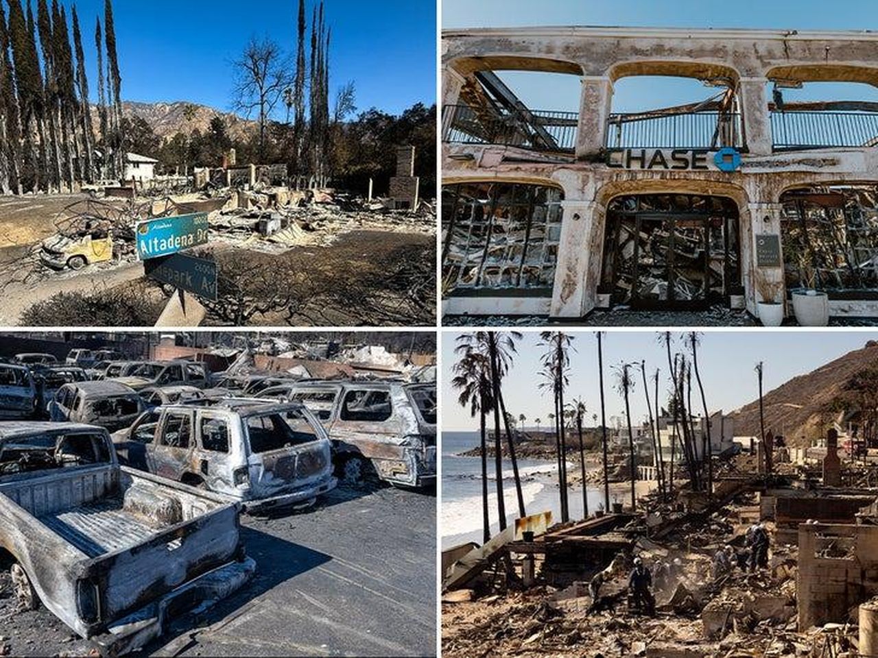 Situazione_disperata_per_gli_animali_pYl4bQQJXw - Confidenze24 source:allcelebrities - Situazione disperata per gli animali - Le conseguenze strazianti degli incendi di Los Angeles