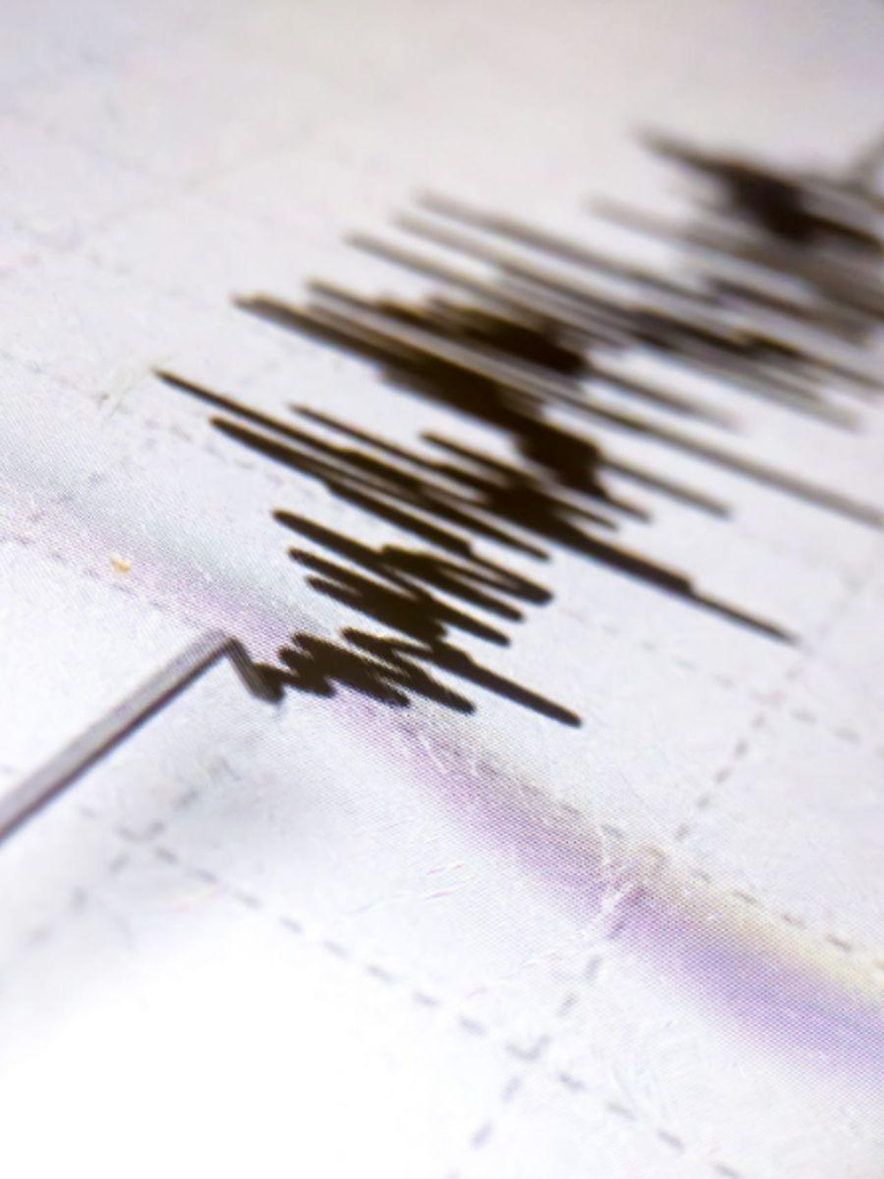 Terremoto_a_Modena_scossa_nel_pomeriggio_di_magnitudo_35_j3zhXCSn7q - Confidenze24 source:tvzap - Terremoto a Modena, scossa nel pomeriggio di magnitudo 3.5 - Terremoto Ramacca