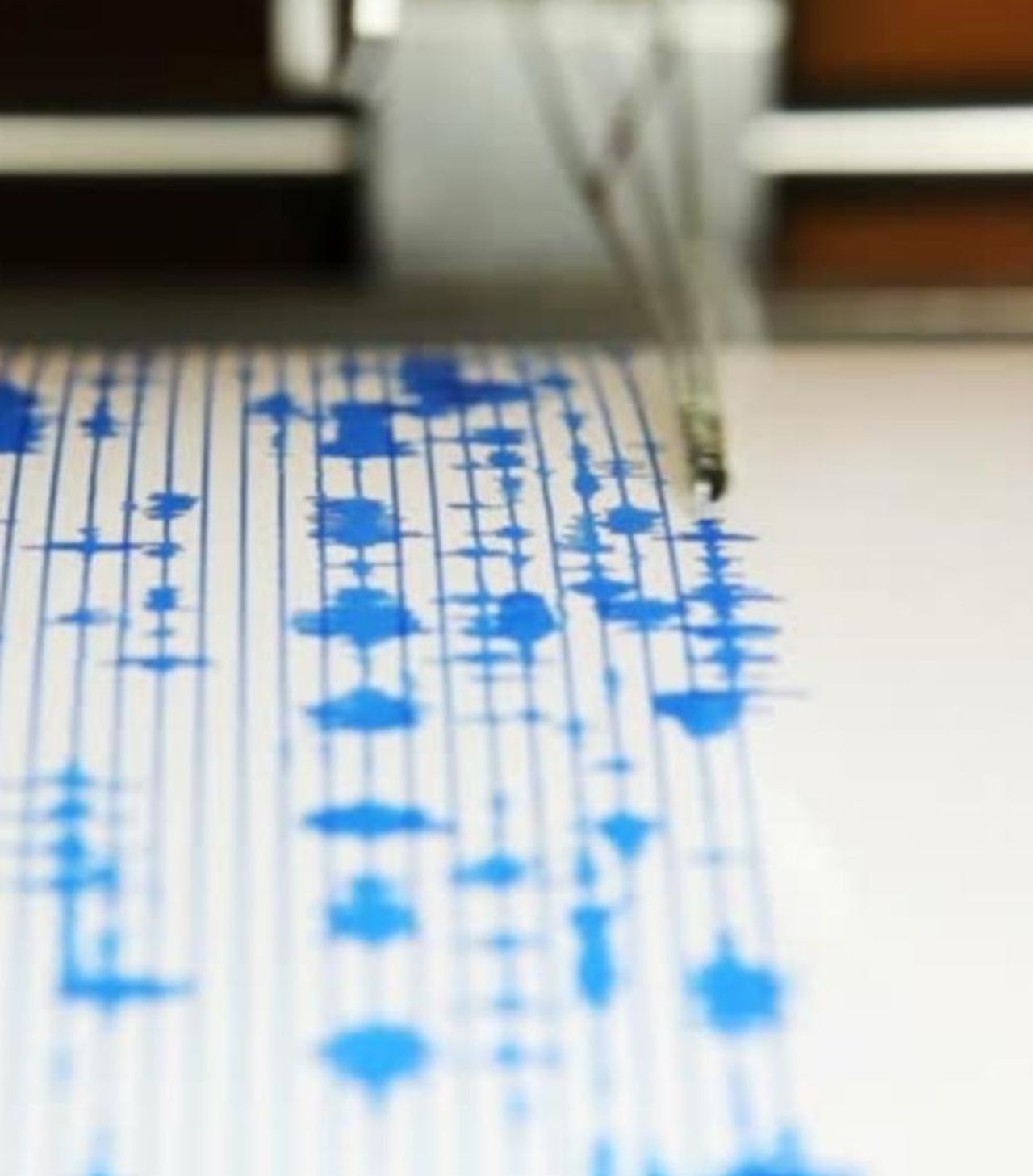Terremoto_oggi_in_Italia_UaBCPhcJGV - Confidenze24 source:tvzap - Terremoto oggi in Italia -
