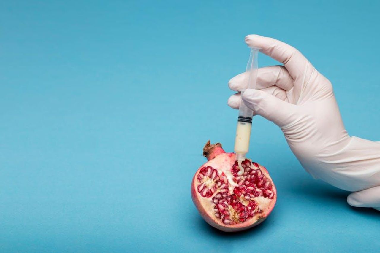 4_Surrogacy_okNNAJhgVr - Confidenze24 Source: Deon Black - pexels - Gloved hand with syringe injecting into a pomegranate on a blue background.