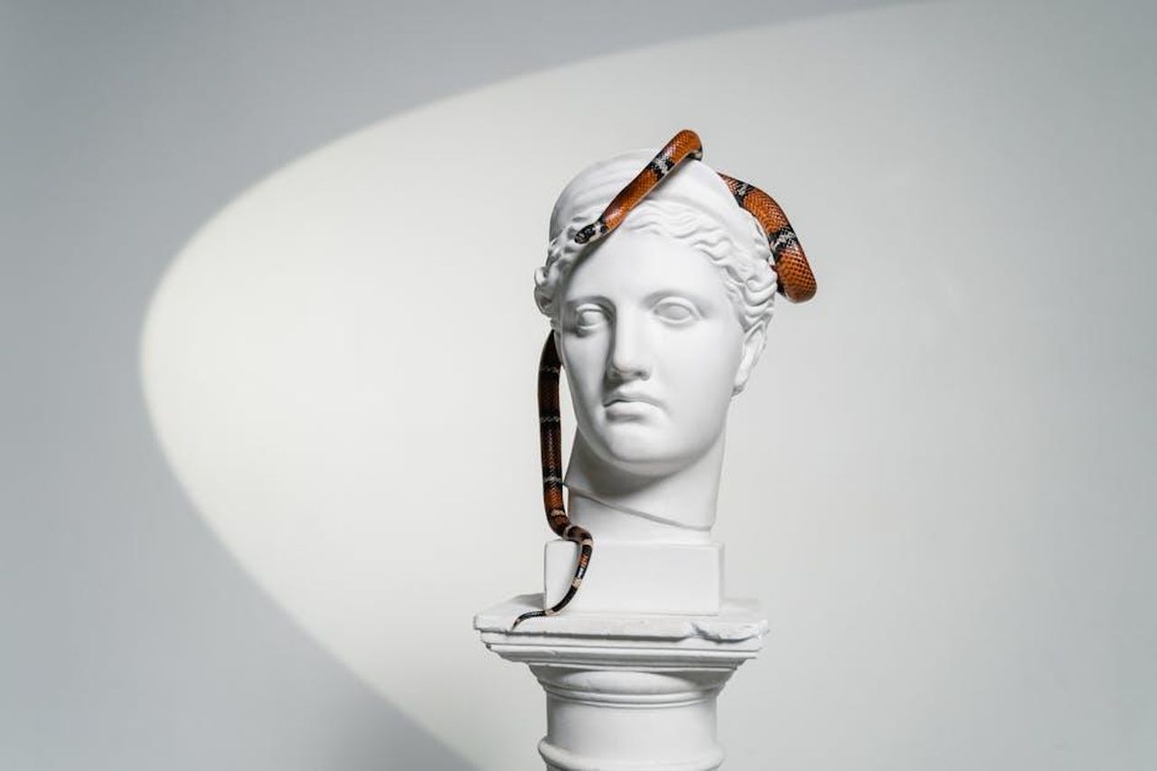 5_posto__Gemelli_MZWQGOYros - Confidenze24 Source: <a fref='https://www.pexels.com/@mart-production' target='_new'>MART PRODUCTION</a> pexels - A white gypsum head sculpture with a snake elegantly draped over it, blending art and nature.