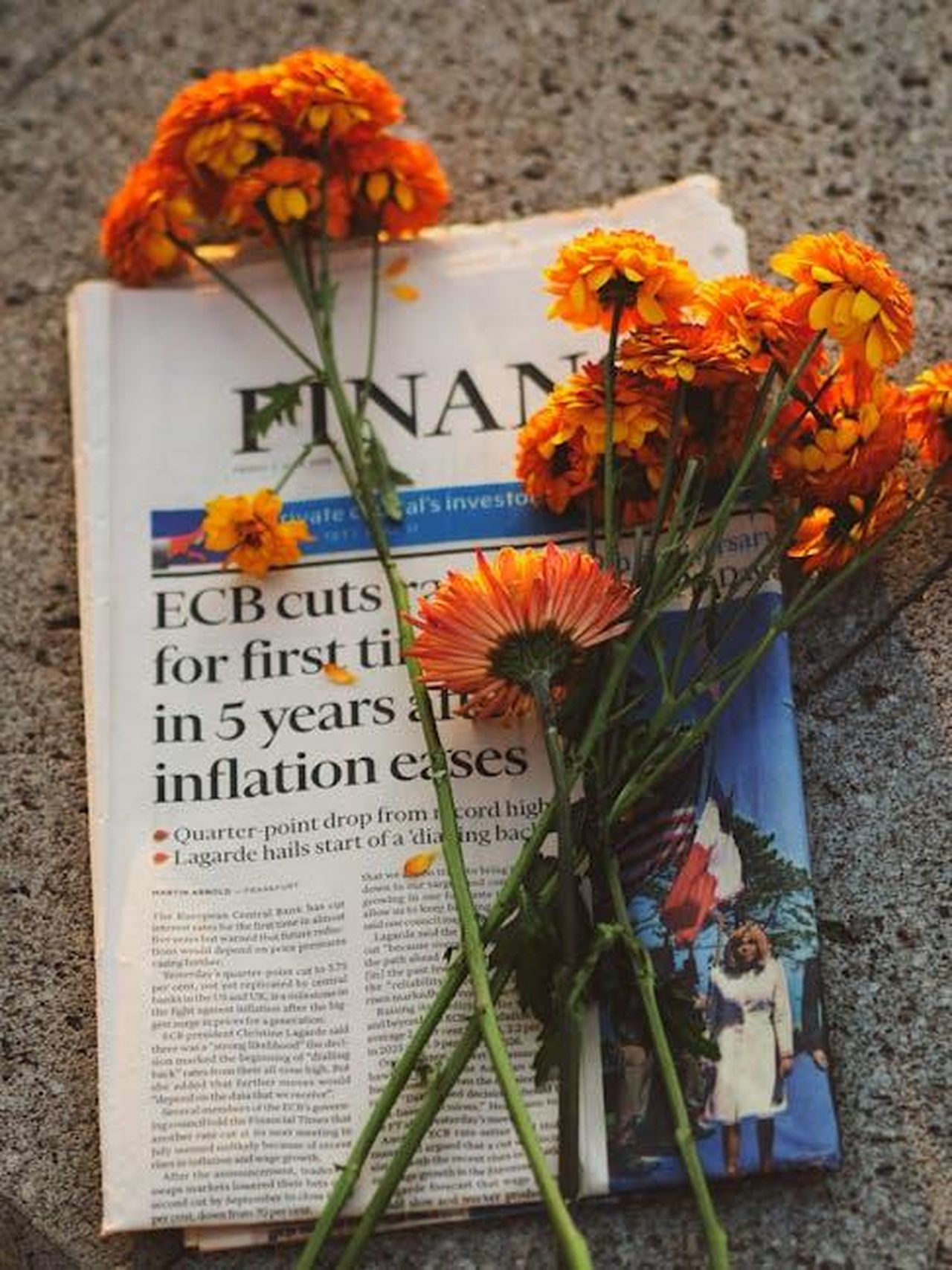 A_Chi_lha_visto_spazio_al_caso_Paganelli_ultime_novit_TbkF254N2R - Confidenze24 Source: Turgut Ka - pexels - Marigold flowers on financial newspaper symbolize economic reflection. Warm afternoon light.