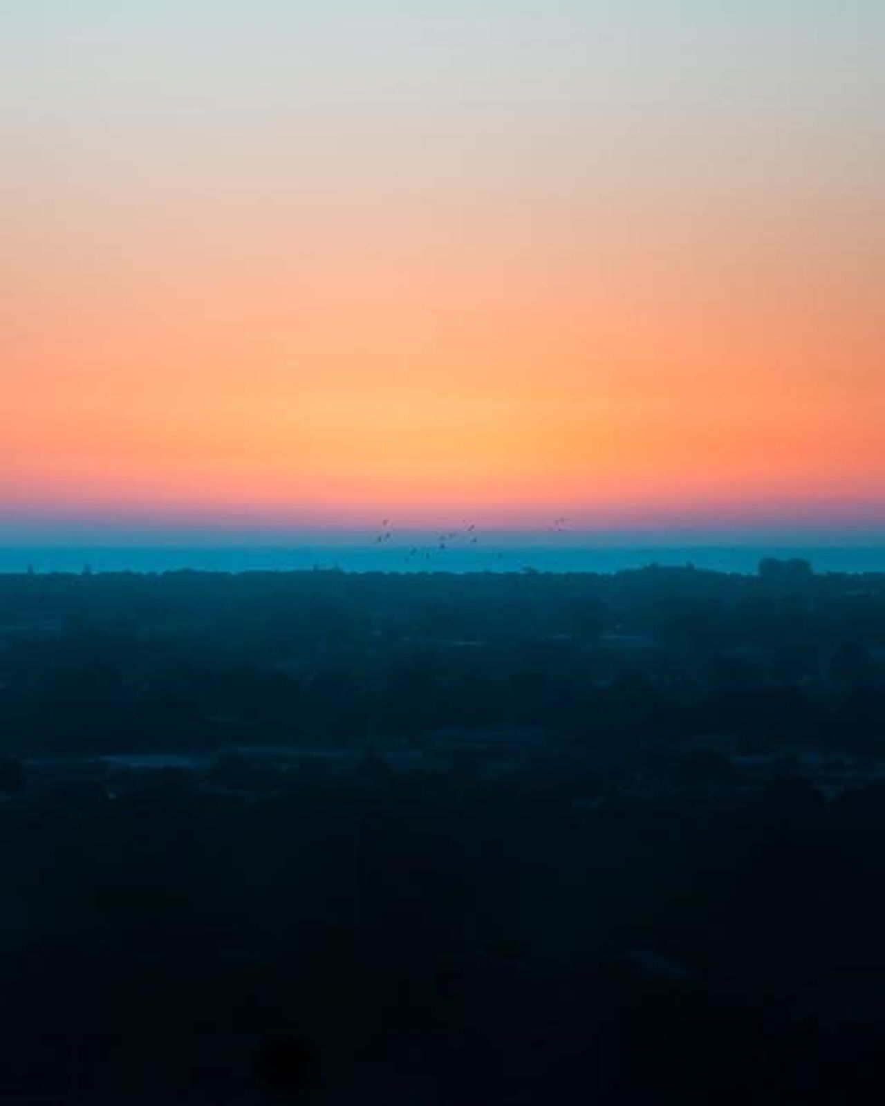 Adelaide_e_larte_della_scomparsa_0bChvC4RF6 - Confidenze24 Source: Eric Smart - pexels - Stunning view of Adelaide city skyline with a vivid sunrise, showcasing a tranquil morning atmosphere.