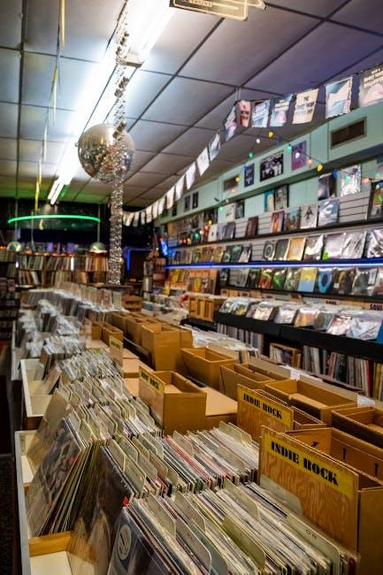 Album_pi_richiesti_del_catalogo_Sony_R5CVVfdi24 - Confidenze24 Source: Connor McManus - pexels - Explore a colorful vinyl record store in Orlando, featuring rows of indie rock records.