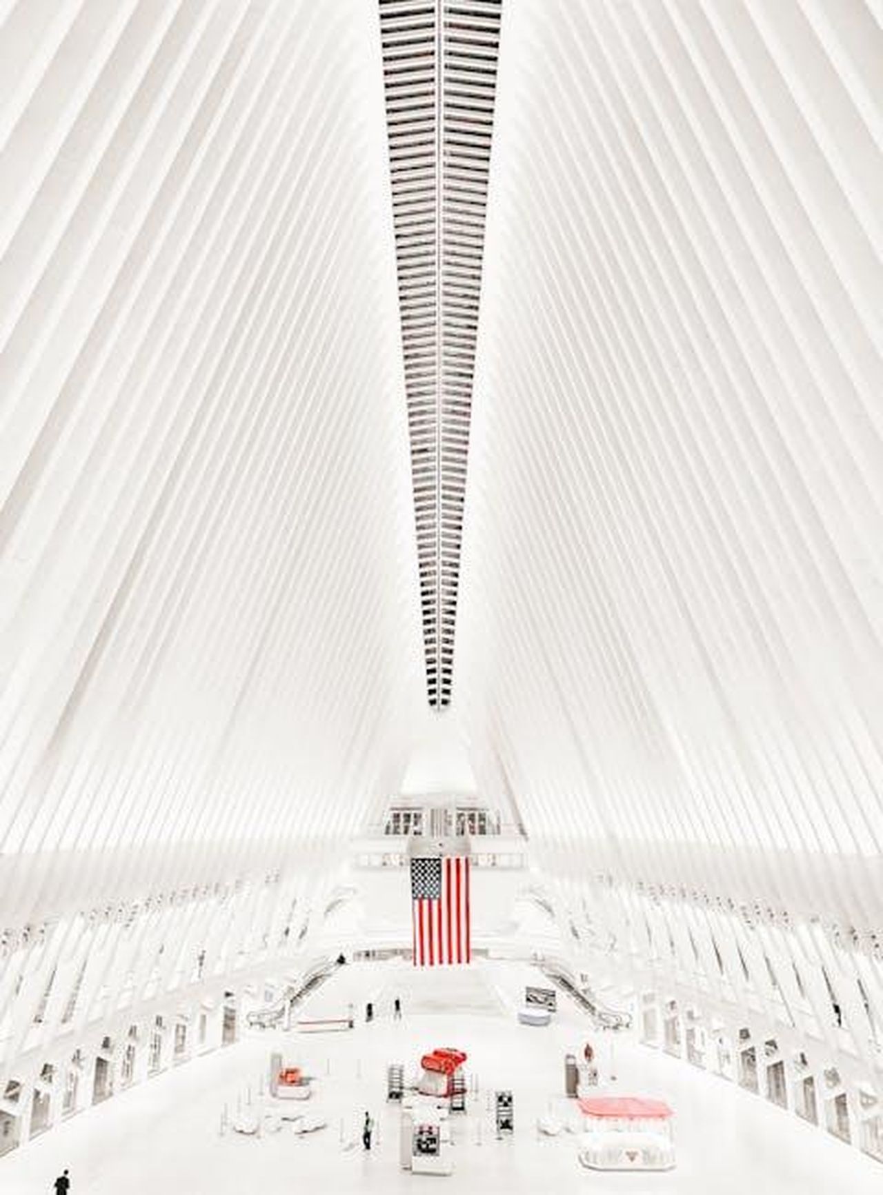 Alfonso_ritorna_nella_casa_anticipazioni_Grande_Fratello_del_20_febbraio_dSF7fVOOWZ - Confidenze24 Source: Reinaldo Simoes - pexels - Free stock photo of city of new york, fulton, memorial