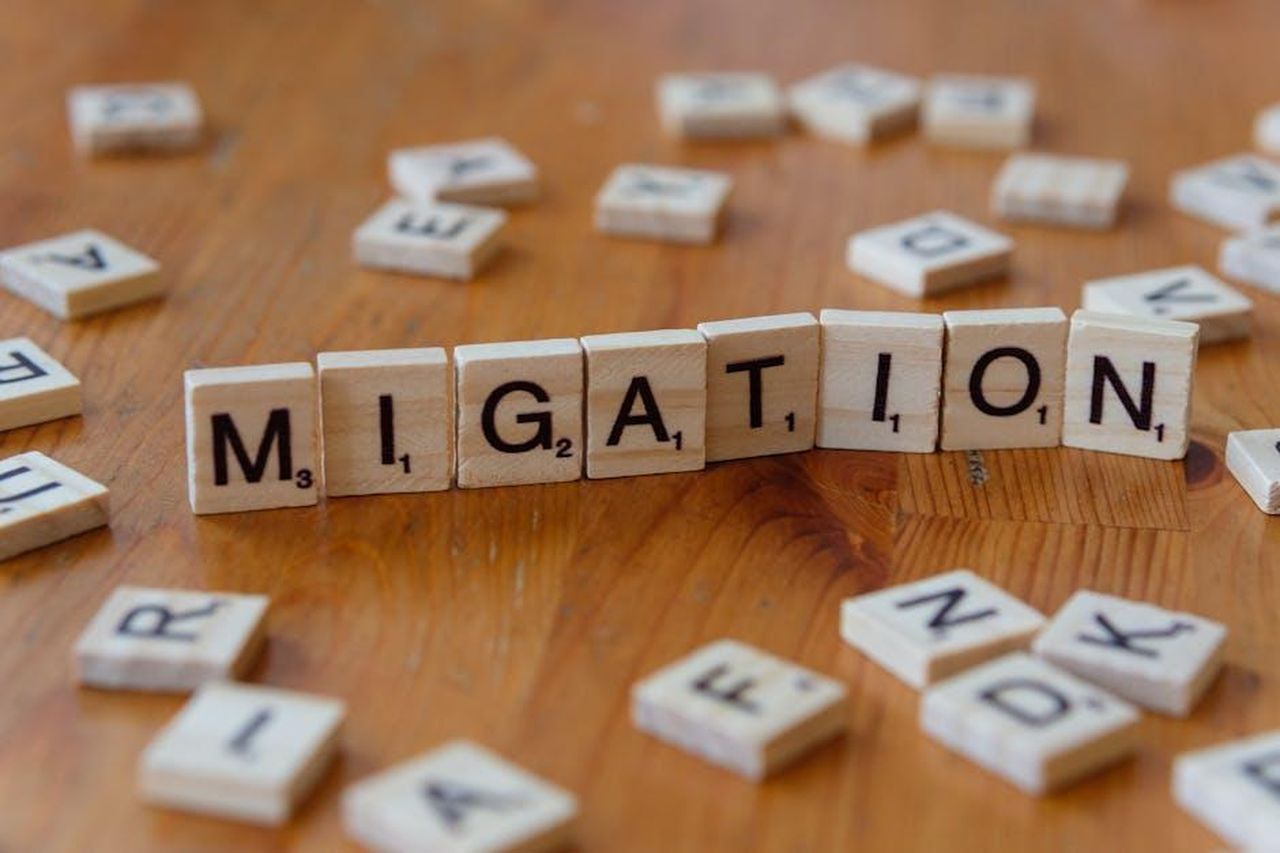 Come_guardare_gli_Oscar_gratuitamente_allestero_n3MdFzDwB7 - Confidenze24 Source: Markus Winkler - pexels - Free stock photo of asylum, border, brain drain