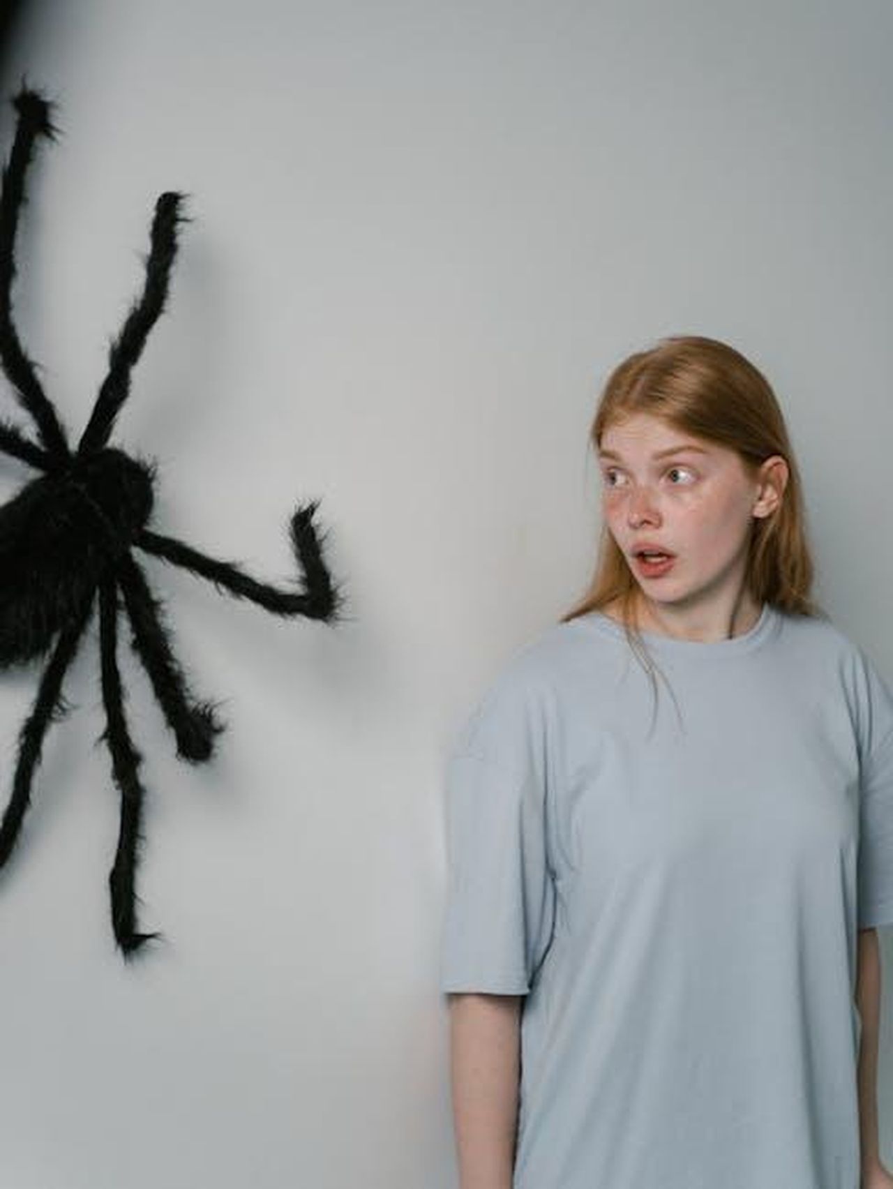 Confronto_previsto_tra_Alfonso_e_un_altro_concorrente_tVU1Jnyo5H - Confidenze24 Source: MART PRODUCTION - pexels - A woman reacts with fear to a large spider on the wall, conveying anxiety and phobia.