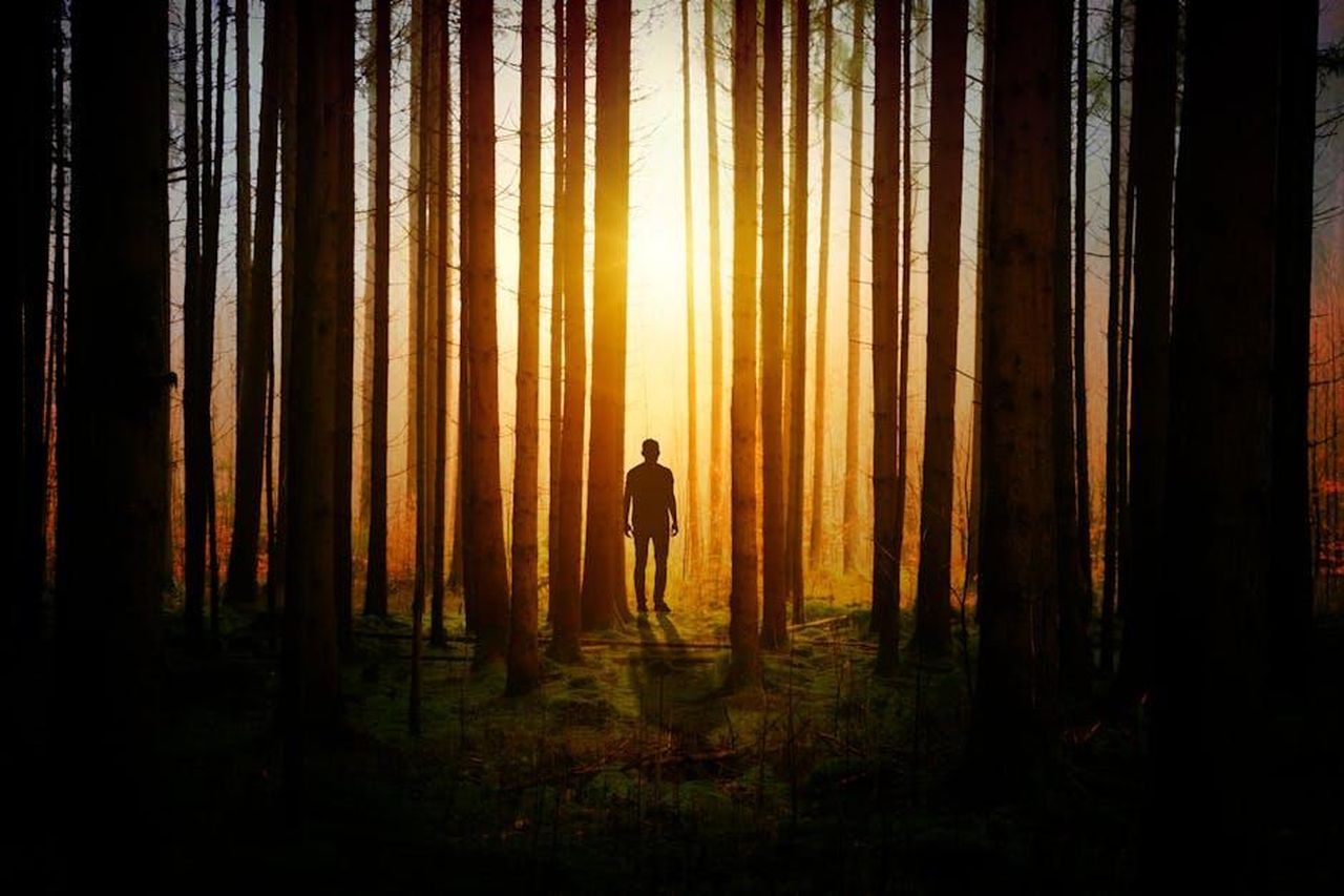 Curro_ossessionato_da_Ramona_e_la_riporta_al_palazzo_RYREJiwC8Q - Confidenze24 Source: Johannes Plenio - pexels - A mysterious silhouette of a man walking in a sunlit forest, creating a dramatic and serene atmosphere.