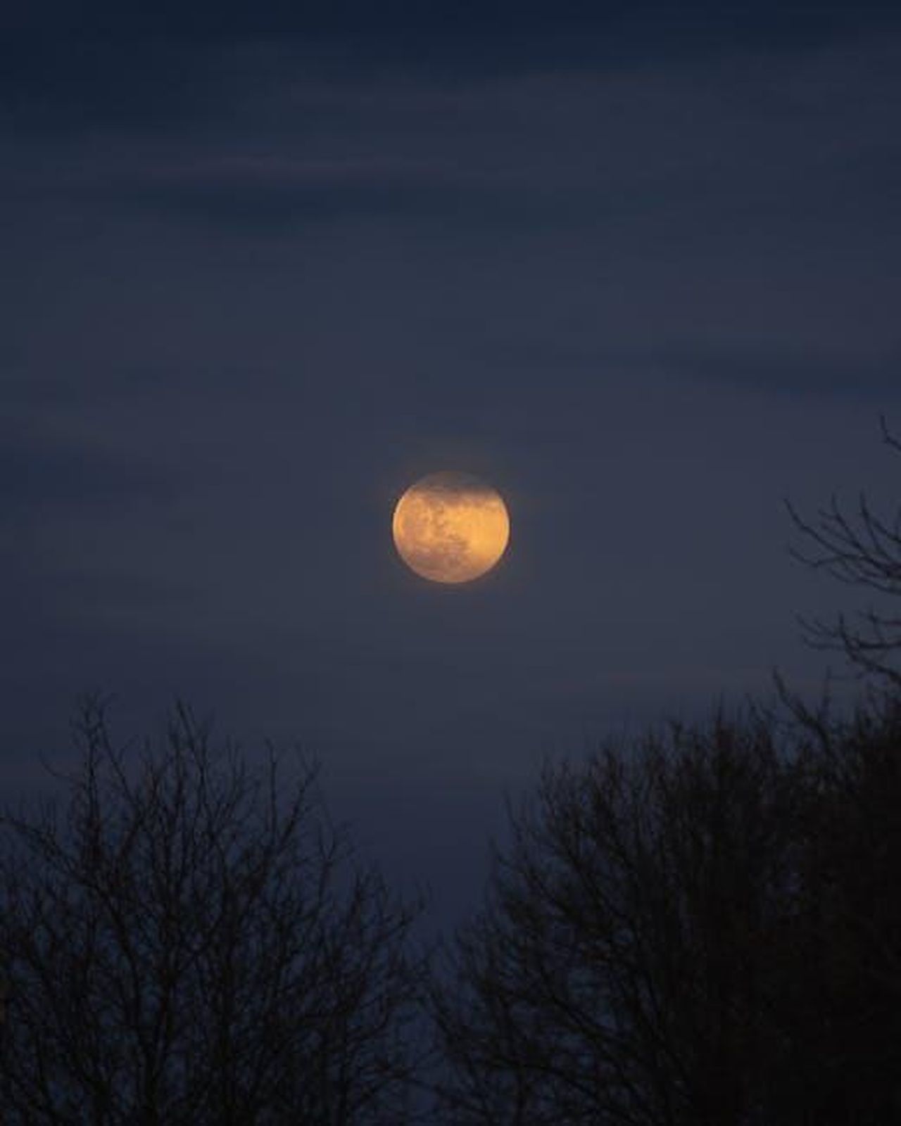 Gaia_e_Toquinho__La_voglia_la_pazzia_zf3Gf7Flgc - Confidenze24 Source: Dmitry Limonov - pexels - A full moon rising in a cloudy night sky over silhouetted trees.