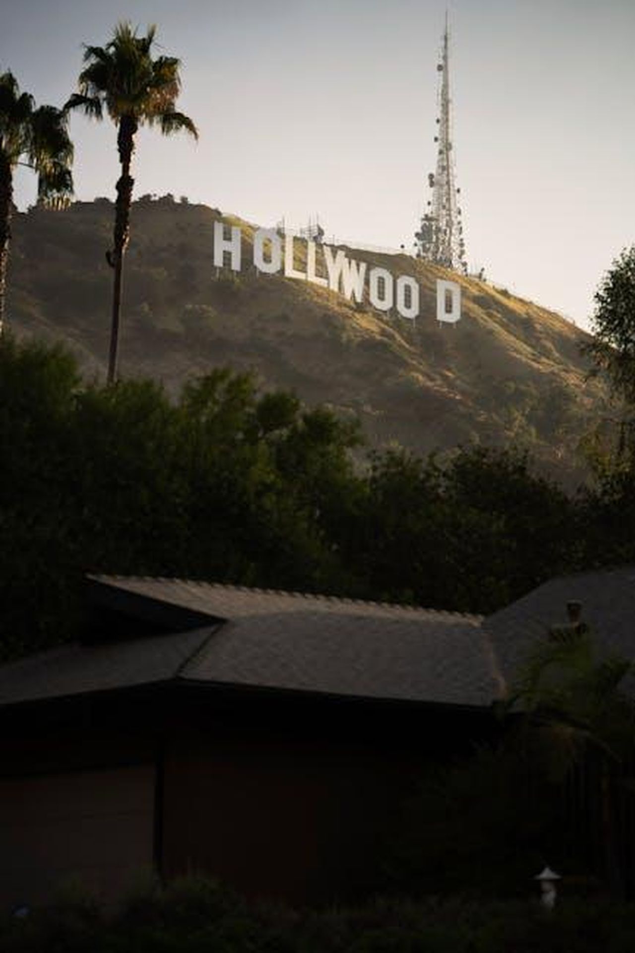 Gli_incendi_a_Los_Angeles_8k5n9M1AyQ - Confidenze24 Source: Thomas balabaud - pexels - Sunlit view of the famous Hollywood Sign on a hilltop surrounded by palm trees in Los Angeles, California.