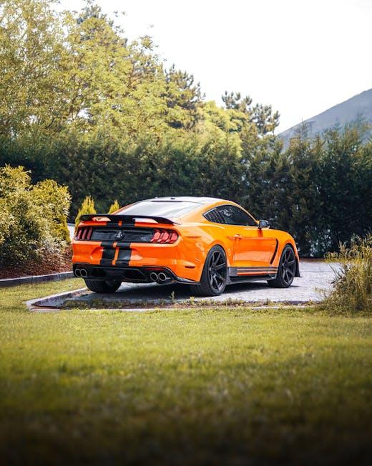 Harrison_Ford_parla_della_sua_esperienza_in_1923_MqMySKprKX - Confidenze24 Source: egeardaphotos - pexels - Vibrant orange Ford Mustang parked in a lush garden setting in Sapanca, Türkiye.