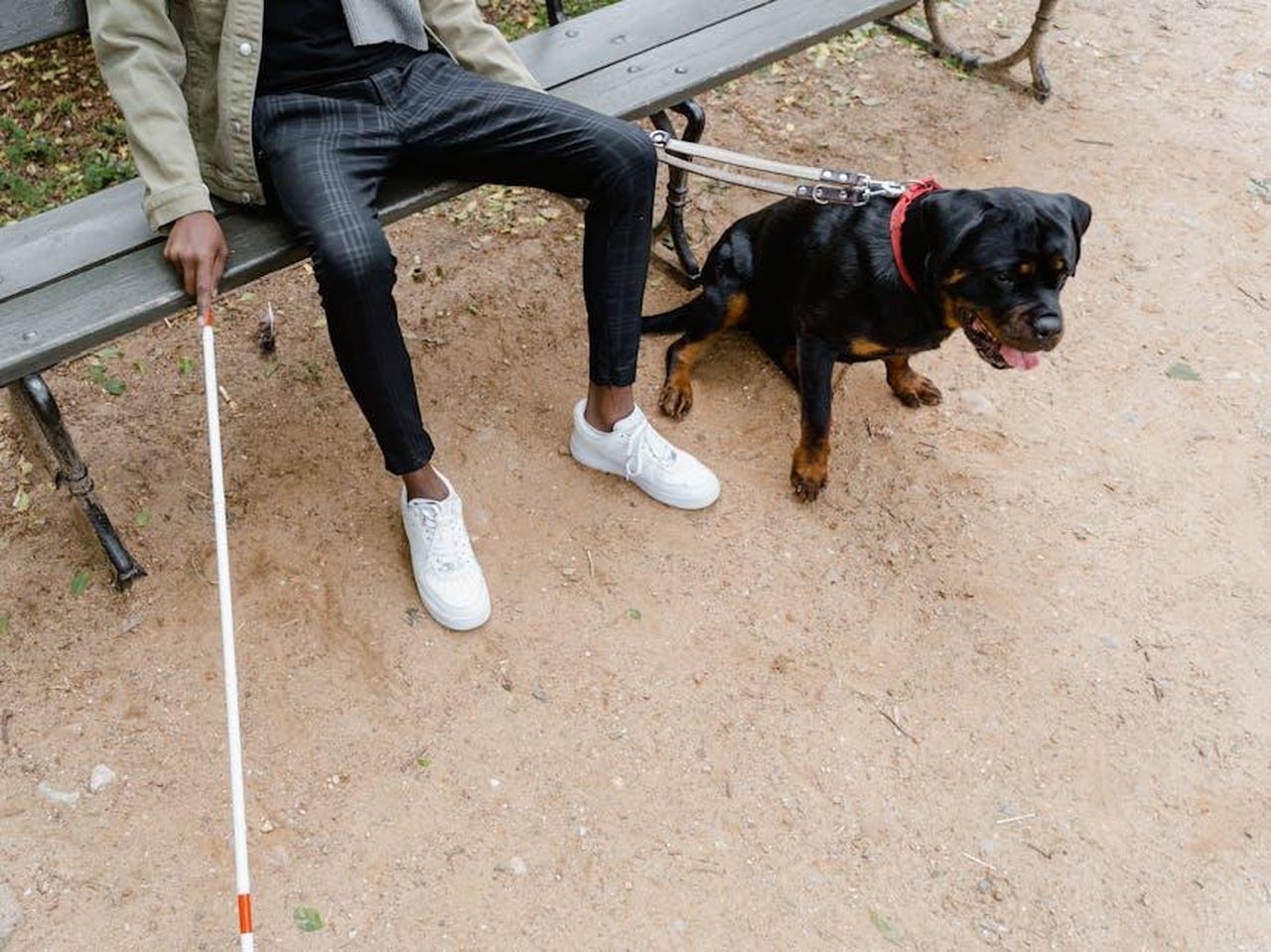I_fan_estendono_il_loro_supporto_DNDrKiE94k - Confidenze24 Source: MART PRODUCTION - pexels - Man using a white cane sitting with a Rottweiler guide dog on a park bench.