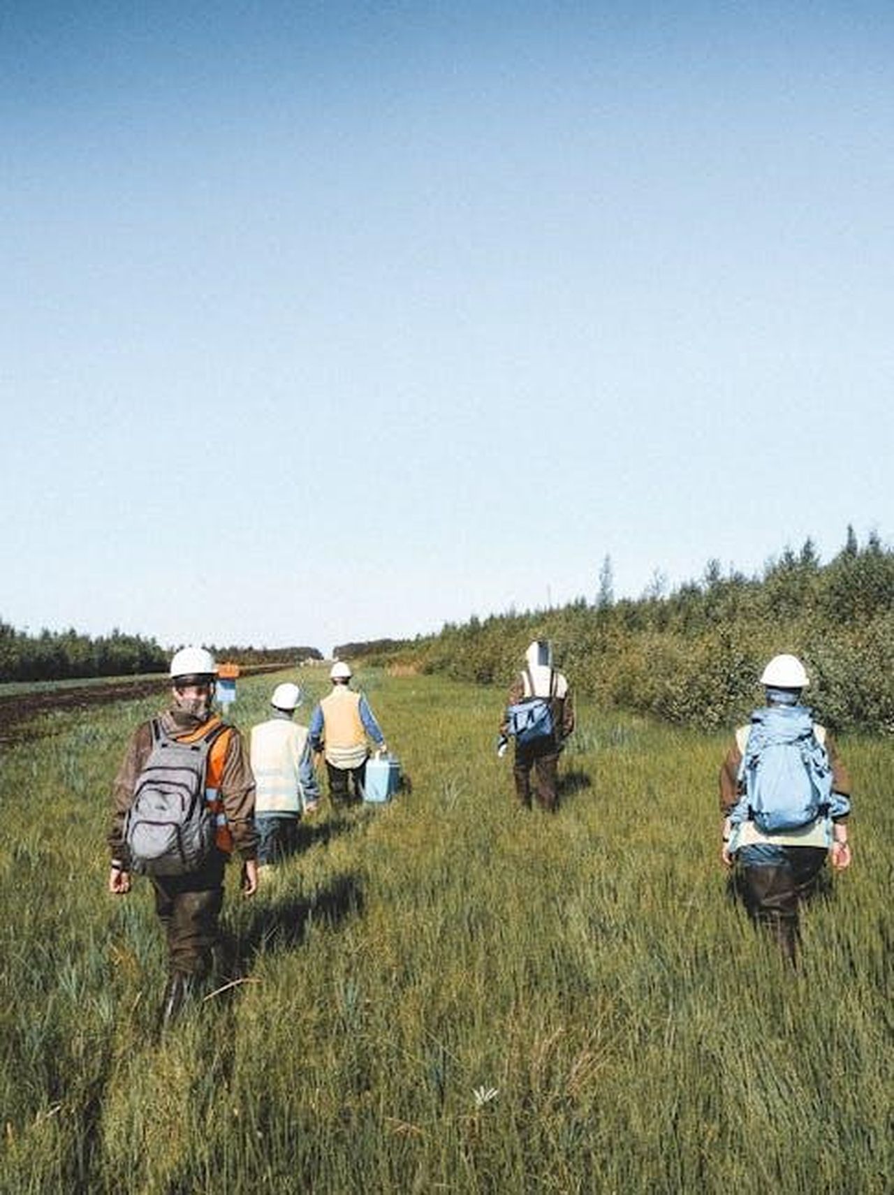Il_dossier_di_bullismo_e_lindagine_del_palazzo_7DDwgC5X2A - Confidenze24 Source: Alexey K. - pexels - Group of environmental workers in grass field, Leningrad Oblast, conducting research.