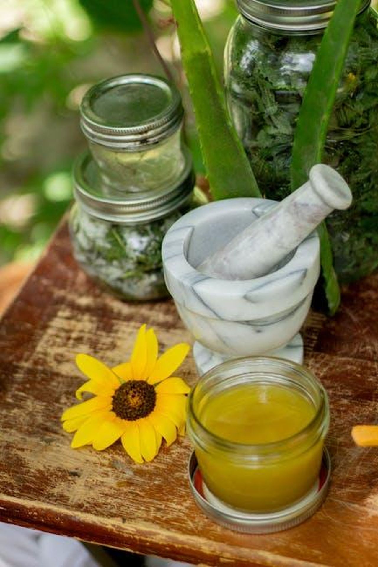 Il_nuovo_colore_Spruce_Green_di_Alo_Yoga_lRp8Vw1DSi - Confidenze24 Source: Nora Brody - pexels - Natural healing setup featuring herbs, aloe, and a mortar and pestle.