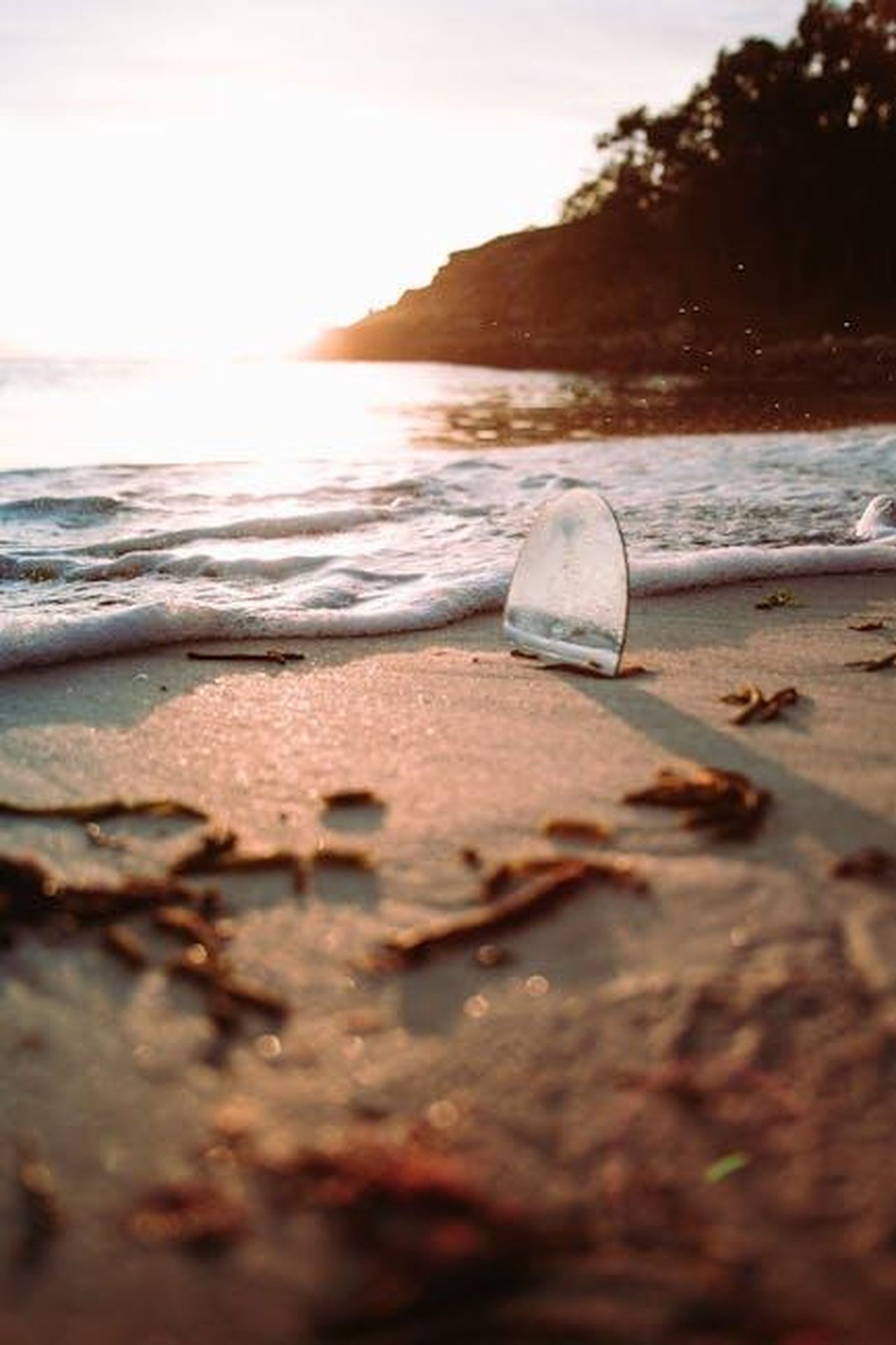Il_punto_sulla_storia_tra_Finn_e_Steffy_in_Beautiful_SEYd27aSBs - Confidenze24 Source: Ave Calvar Martinez - pexels - A serene sunrise scene with waves gently touching a sandy beach, casting warm light.