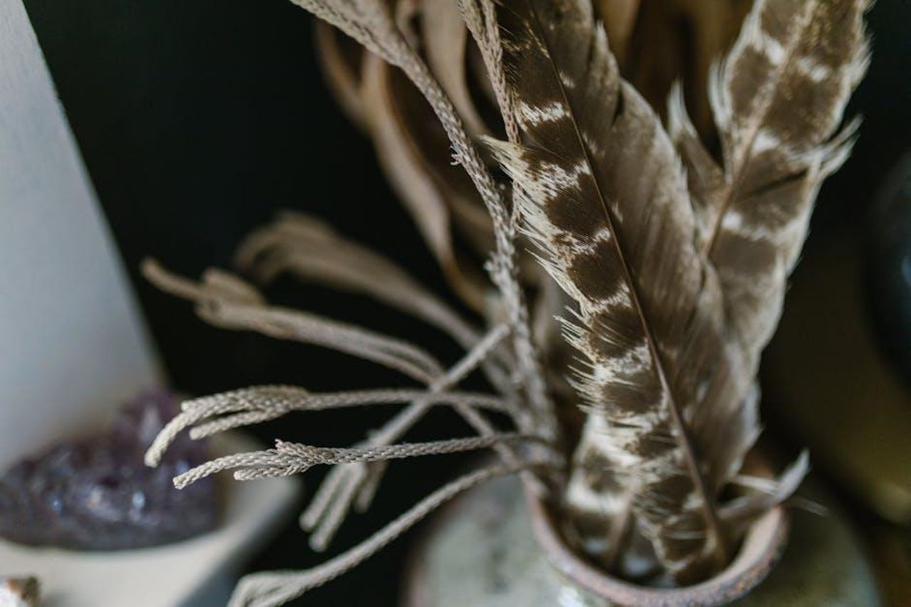 Il_resto_dei_segni_zodiacali_poy7jdzfqW - Confidenze24 Source: RDNE Stock project - pexels - An artistic still life composition featuring natural feathers and crystals in soft focus.