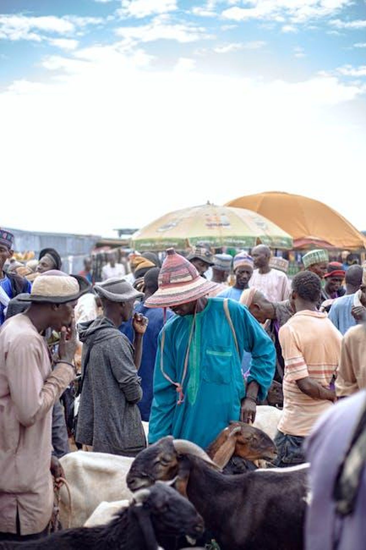 Irama_con_Arisa__Say_Something_A_Great_Big_World_Christina_Aguilera_YoR5GYBan2 - Confidenze24 Source: Gpop Yef - pexels - Colorful and bustling outdoor African market with people and goats.