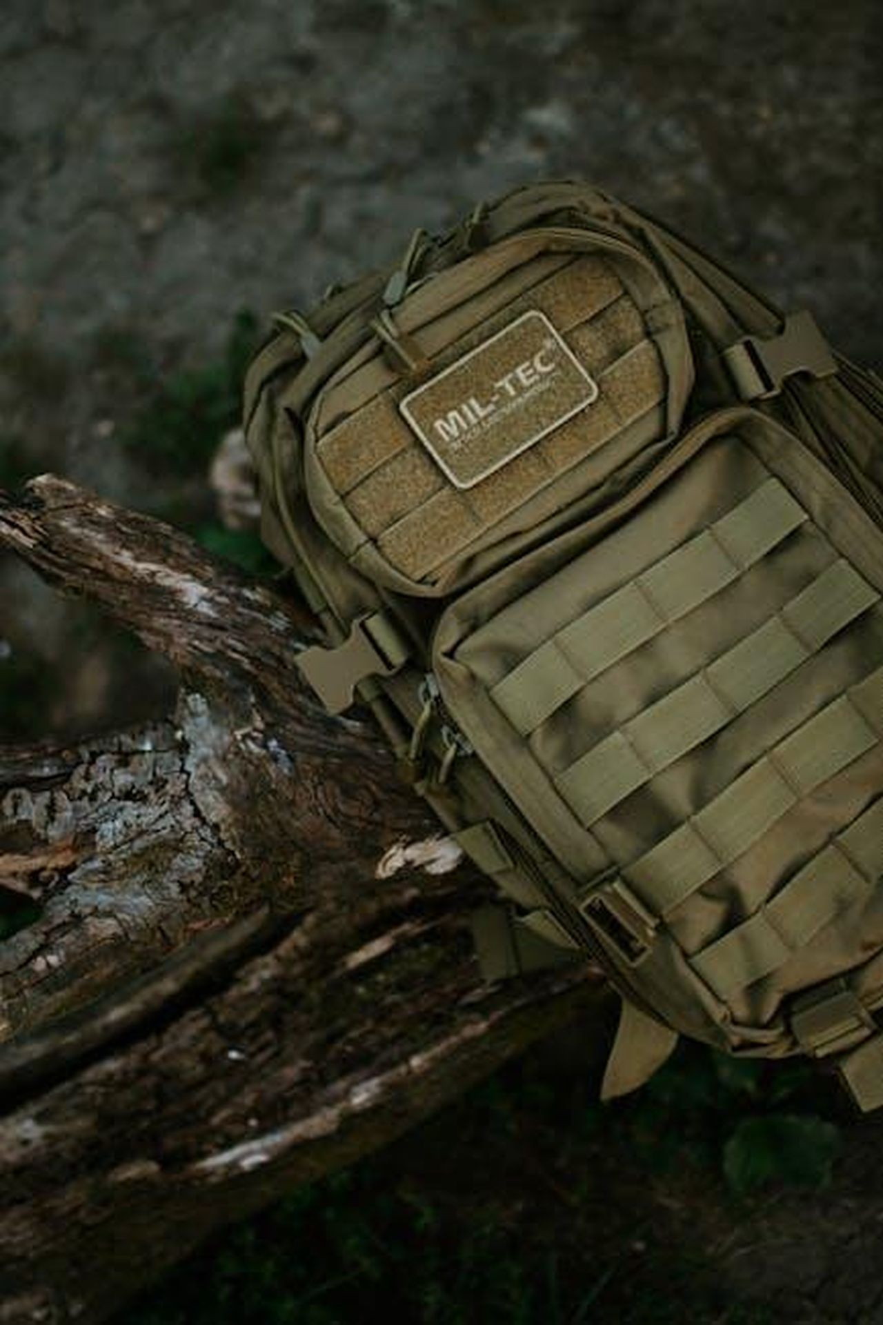 La_duttilit_tattica_di_Chemsdine_Talbi_oSFykpsqfH - Confidenze24 Source: Darya Grey_Owl - pexels - Olive green MIL-TEC backpack resting on a tree branch in a rural outdoor setting, emphasizing travel and adventure.