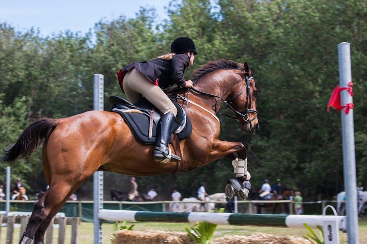 La_passione_di_Grace_per_lequitazione_SMFRveBRdR - Confidenze24 Source: Jean van der Meulen - pexels - A woman jockey skillfully jumps with her horse in an outdoor equestrian competition.