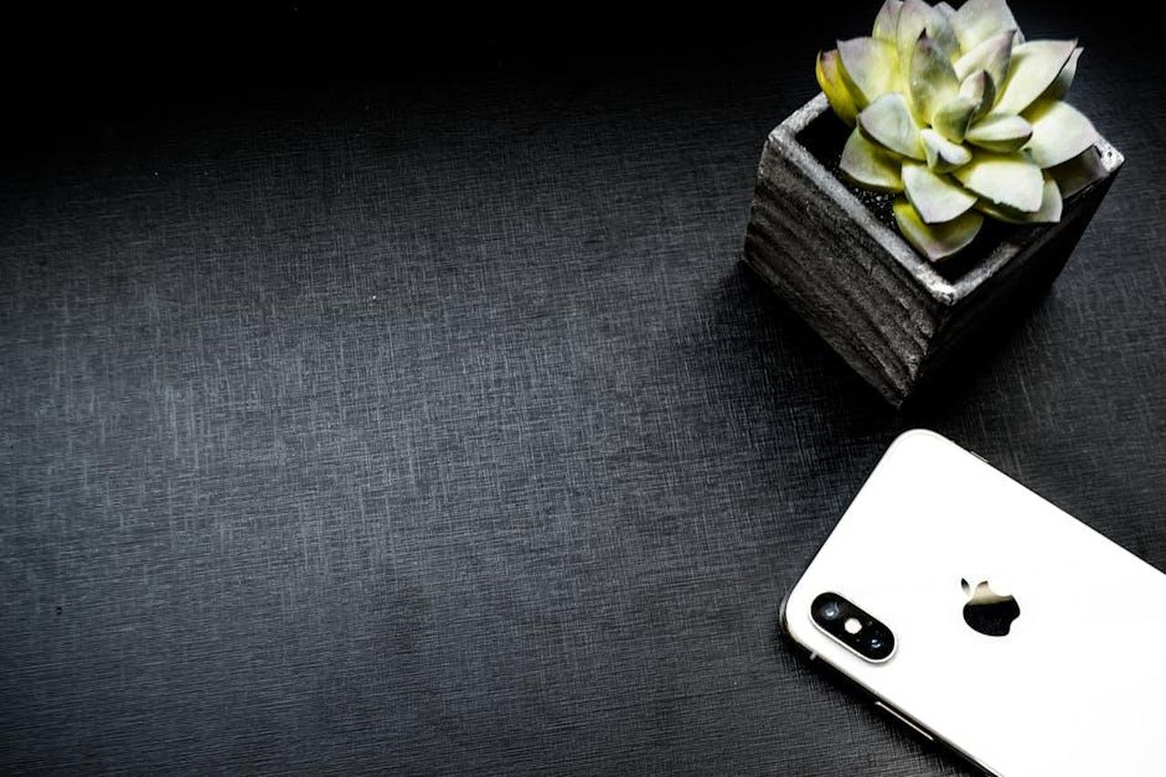 La_questione_del_marchio_e_le_implicazioni_legali_8hRWjkUWJN - Confidenze24 Source: thiago japyassu - pexels - Elegant flatlay of a smartphone and succulent on a dark background with ample copyspace.