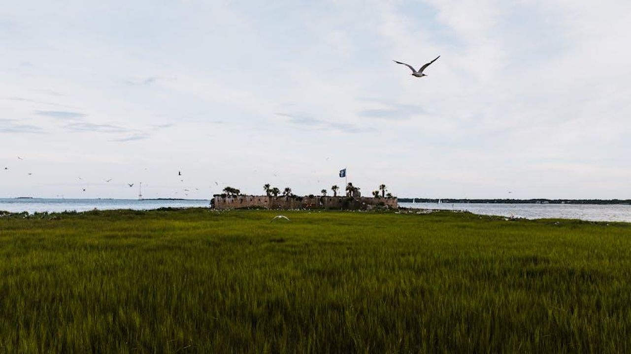 La_storia_della_Great_River_Road_yHSUjf1YAV - Confidenze24 Source: Kelly - pexels - Explore Castle Pinckney in Charleston Harbor with seagulls and lush greenery.