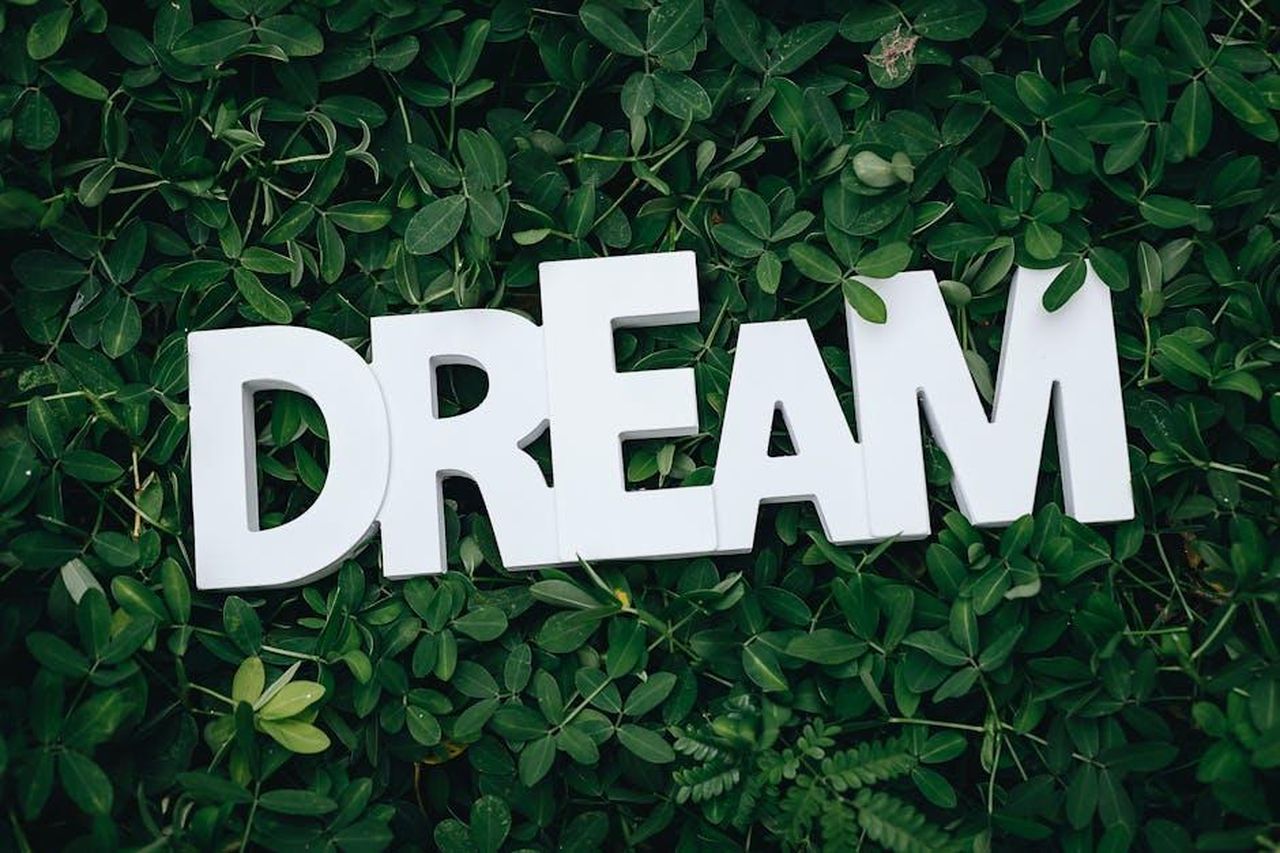La_verit_sul_sogno_di_Giovanni_xLh75nLQnJ - Confidenze24 Source: Karyme França - pexels - Word 'Dream' in white letters on lush green leaves, symbolizing growth and inspiration.