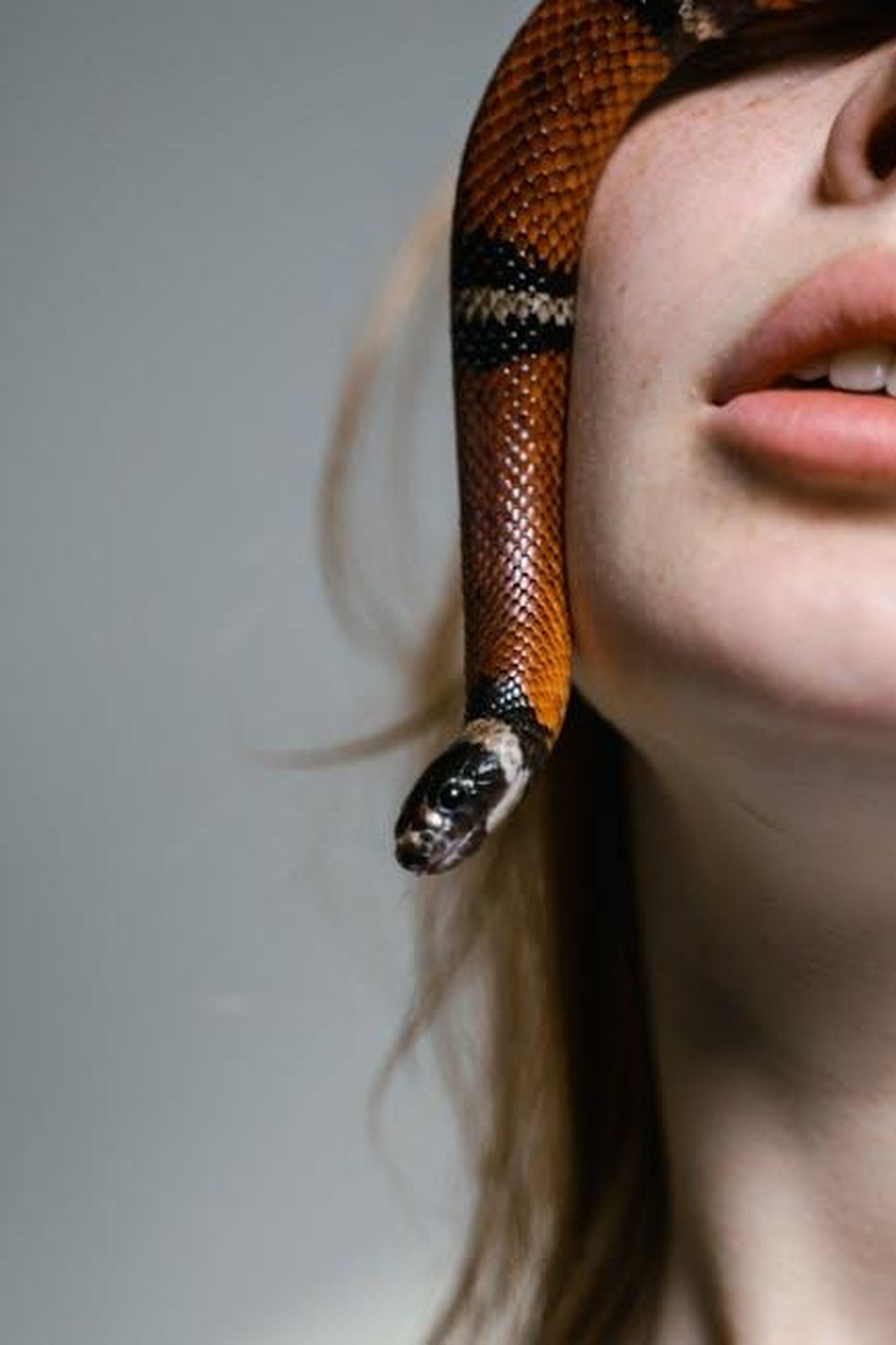 Le_Reazioni_e_le_Dichiarazioni_di_Karen_IaFqRf74Yt - Confidenze24 Source: MART PRODUCTION - pexels - Detailed close-up of a woman with a snake on her face, conveying emotion.