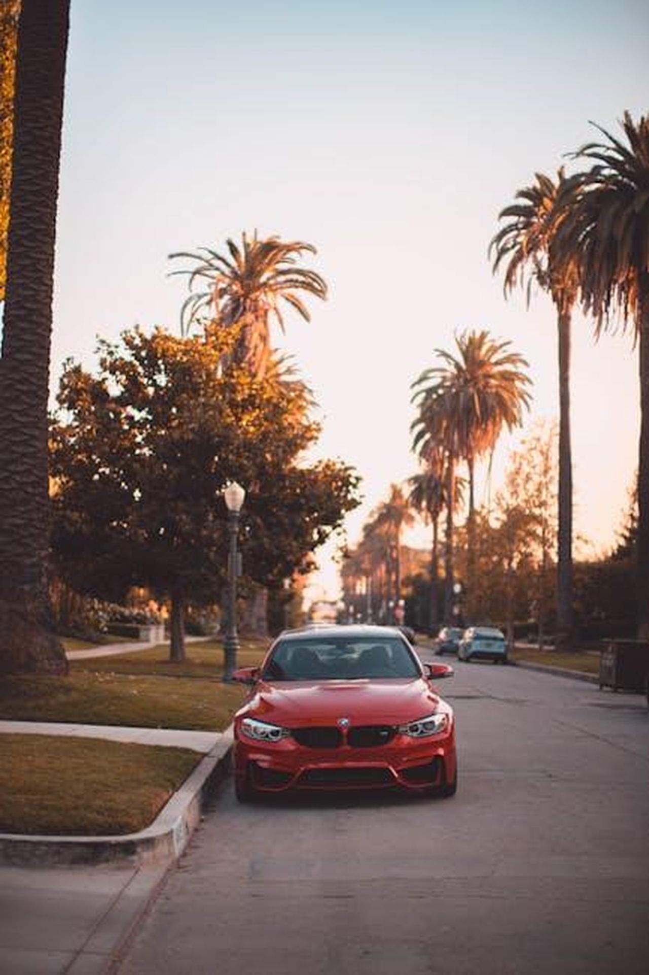 Le_conseguenze_della_causa_2fKUf7aBun - Confidenze24 Source: Roberto Nickson - pexels - A red BMW parked on a street in Los Angeles with iconic palm trees during sunset.