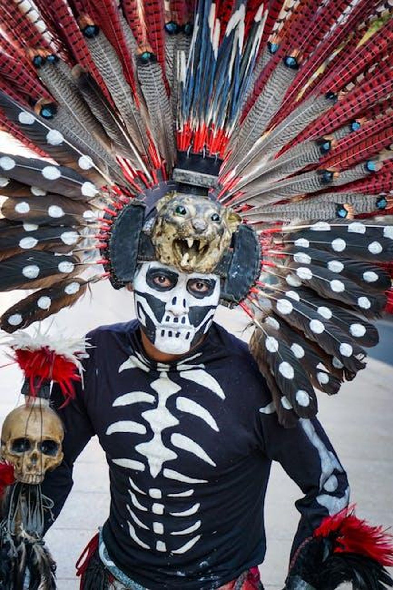 Le_origini_artistiche_e_il_percorso_in_TV_FEOysW9MAh - Confidenze24 Source: Blue Arauz - pexels - Close-up of an Aztec warrior in a colorful feathered costume, celebrating Mexican culture.