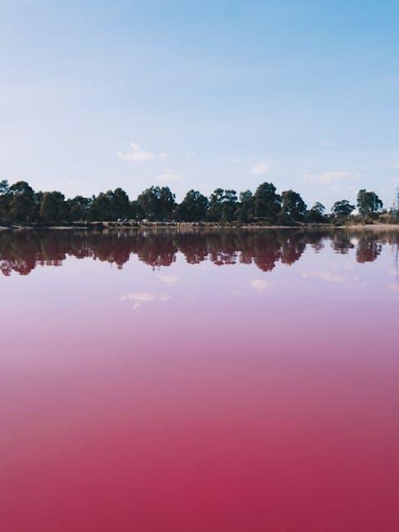 Le_reazioni_di_Victoria_Jackson_e_altri_8uJkoPFABW - Confidenze24 Source: Pat Whelen - pexels - Breathtaking view of the vivid pink lake at Westgate Park, Melbourne reflecting the sky.