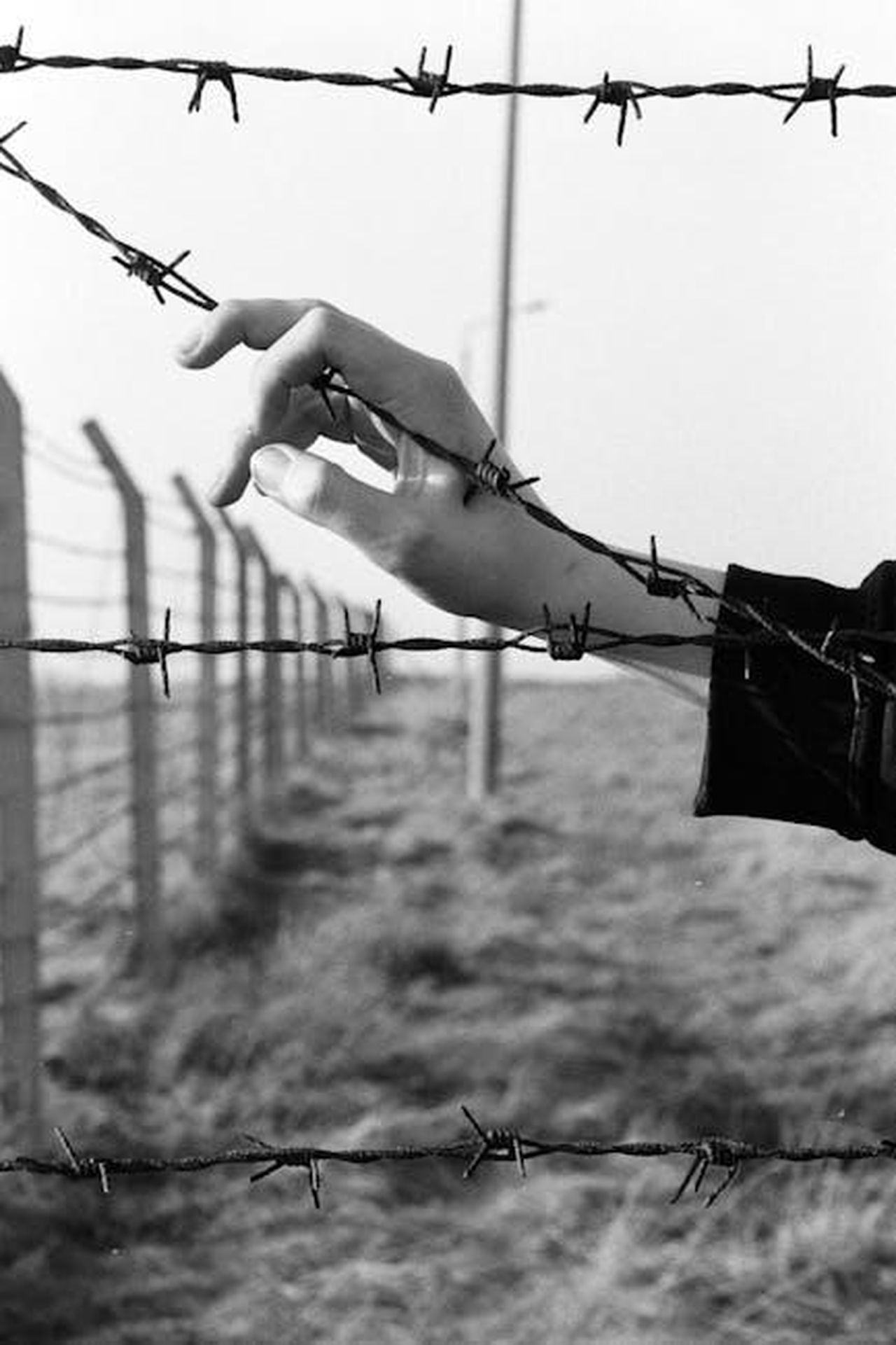 Le_tensioni_politiche_tra_Canada_e_USA_Kc9p35VUm7 - Confidenze24 Source: The Vegan Monster - pexels - Hand reaching towards barbed wire fence, symbolizing freedom and restraint.