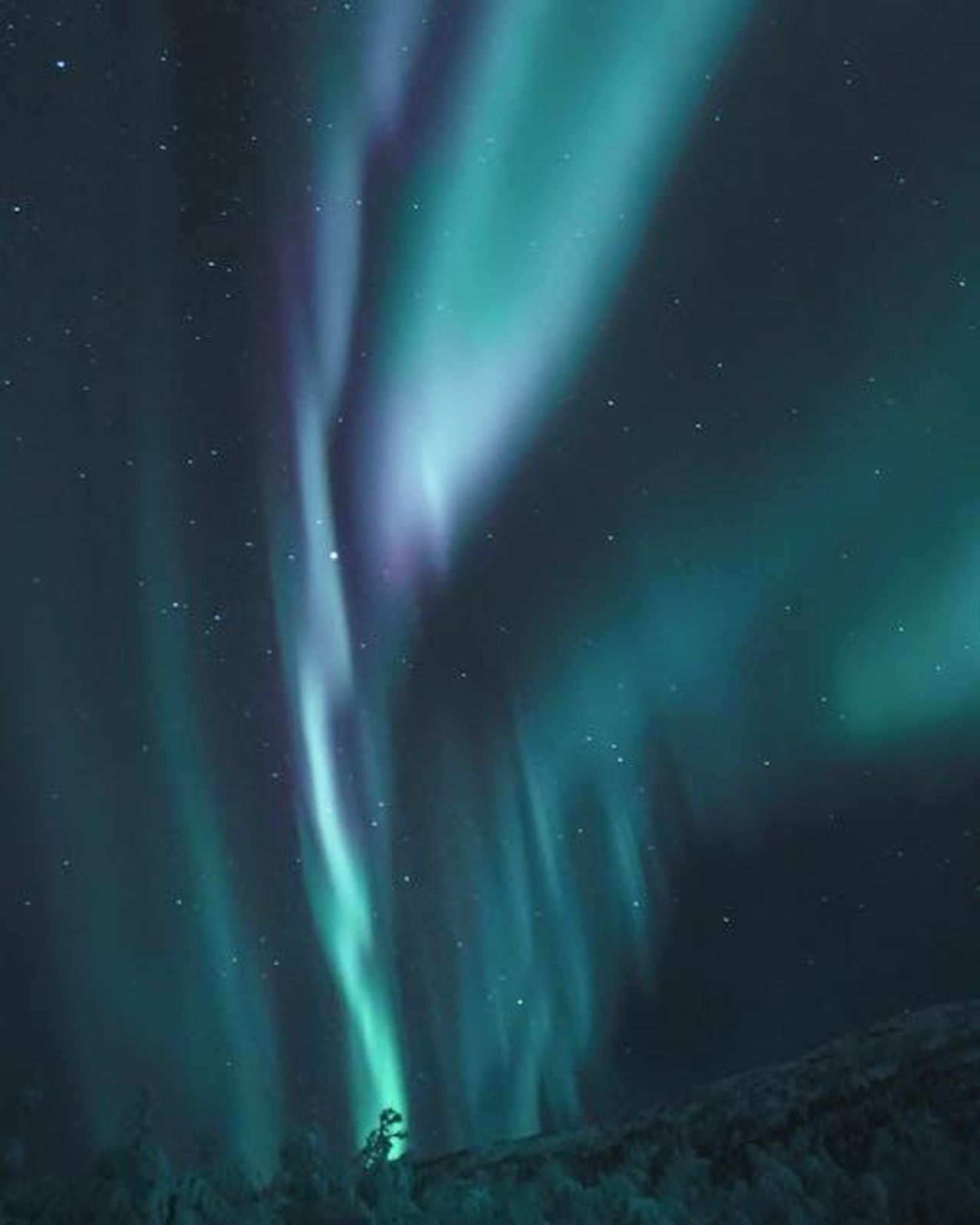 Leone__Espansione_e_audacia_m5Ql72RRpw - Confidenze24 Source: Tobias Bjørkli - pexels - Captivating view of aurora borealis lighting up a starry night sky with vibrant colors and patterns.