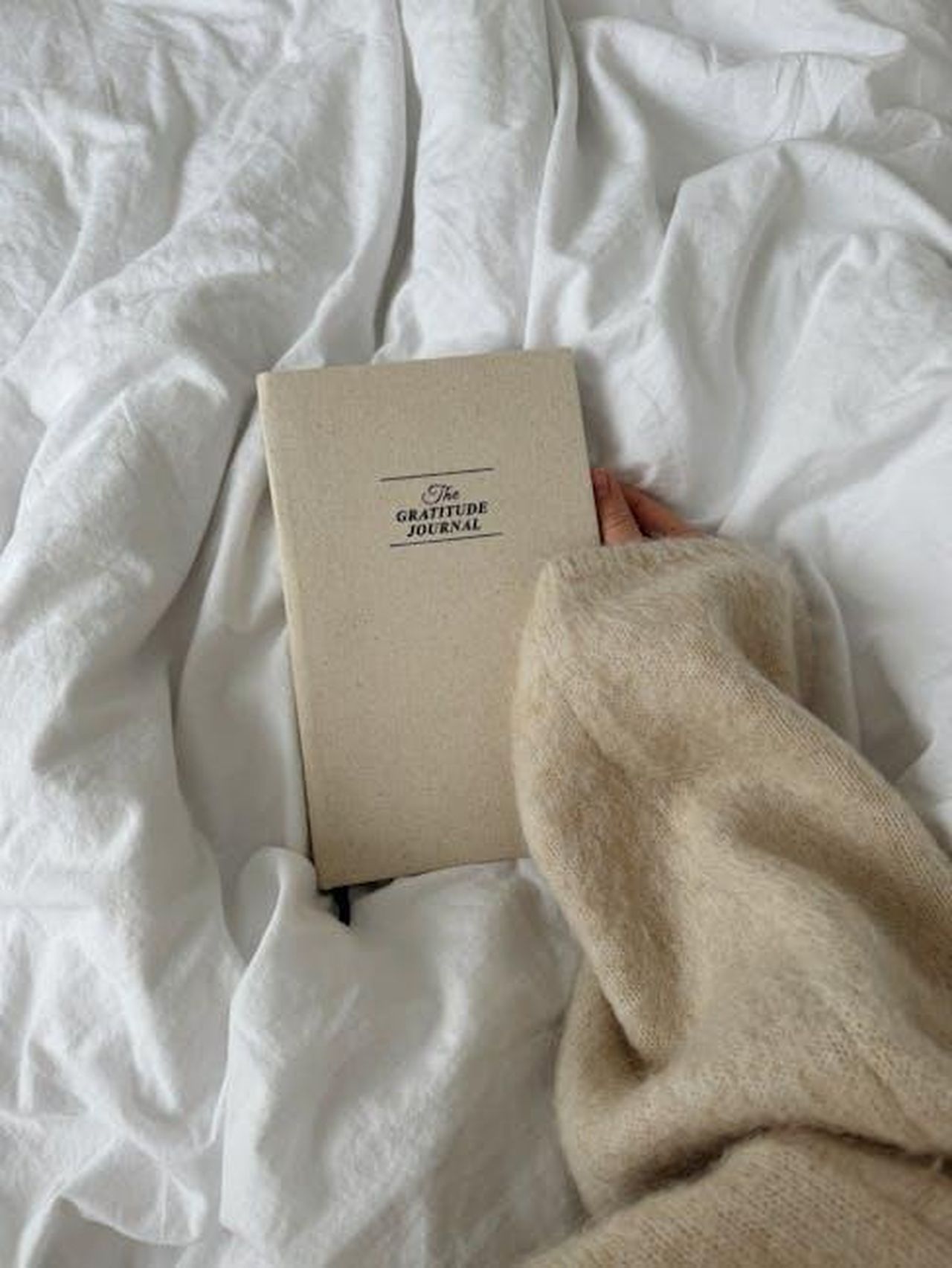 Limportanza_della_gratitudine_nella_vita_di_Tia_Mowry_QeIbclgUtY - Confidenze24 Source: Aljona Ovtšinnikova - pexels - A close-up of a hand holding a gratitude journal on a soft bed, conveying warmth and reflection.