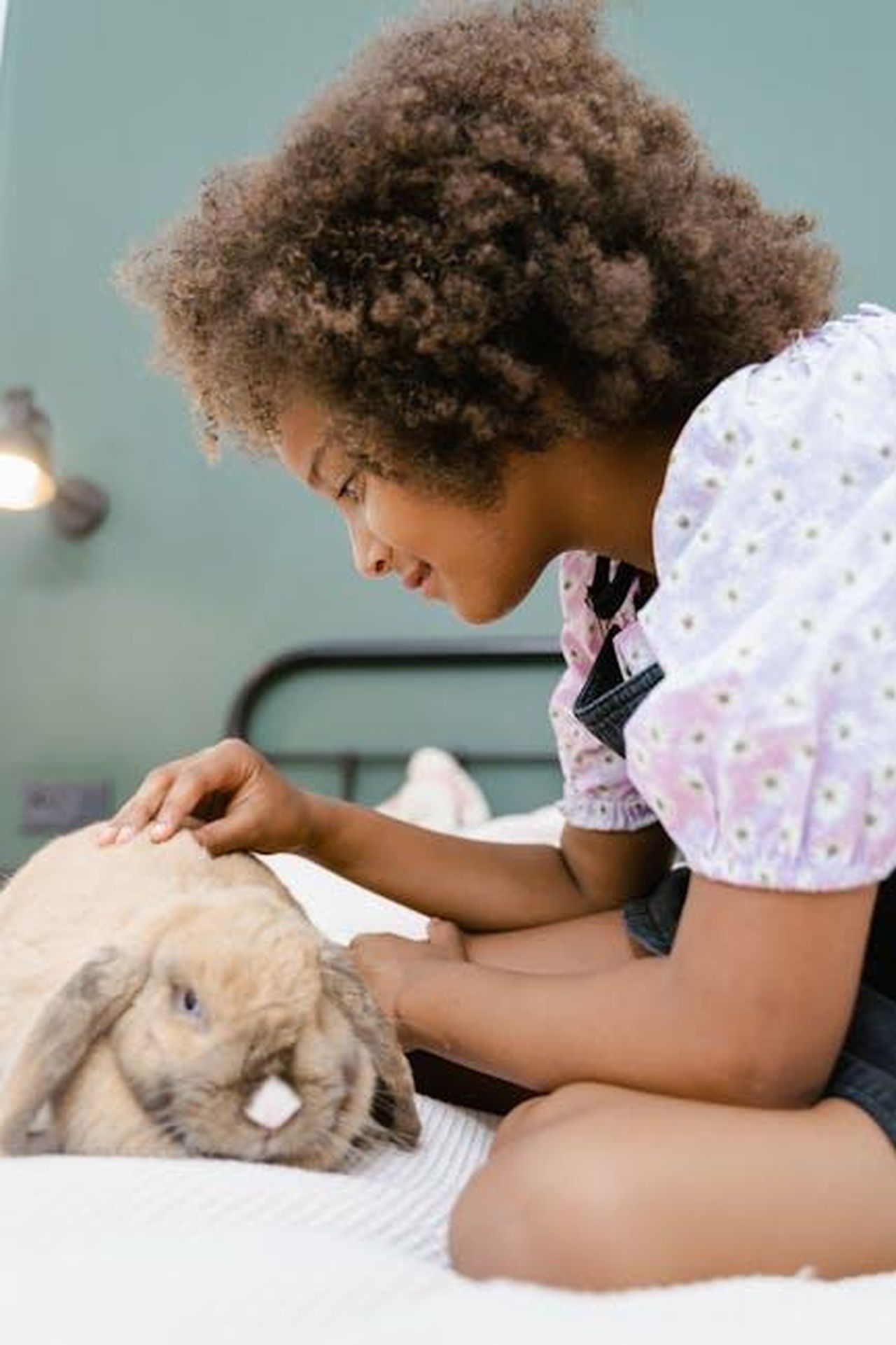 Mimmo_si_accorge_che_Agata__interessata_a_Roberto_Ztw30bIWkN - Confidenze24 Source: MART PRODUCTION - pexels - An African American girl gently petting a Holland Lop rabbit indoors, showcasing the bond between child and pet.