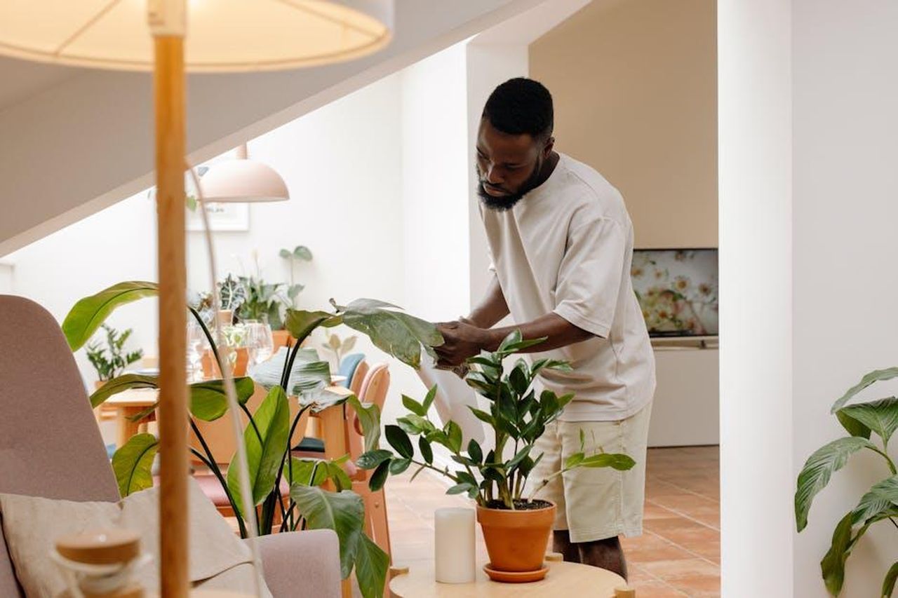Perch_potare_a_febbraio_RD95CEFUoe - Confidenze24 Source: cottonbro studio - pexels - Man tending to houseplants in a bright modern living room setting.