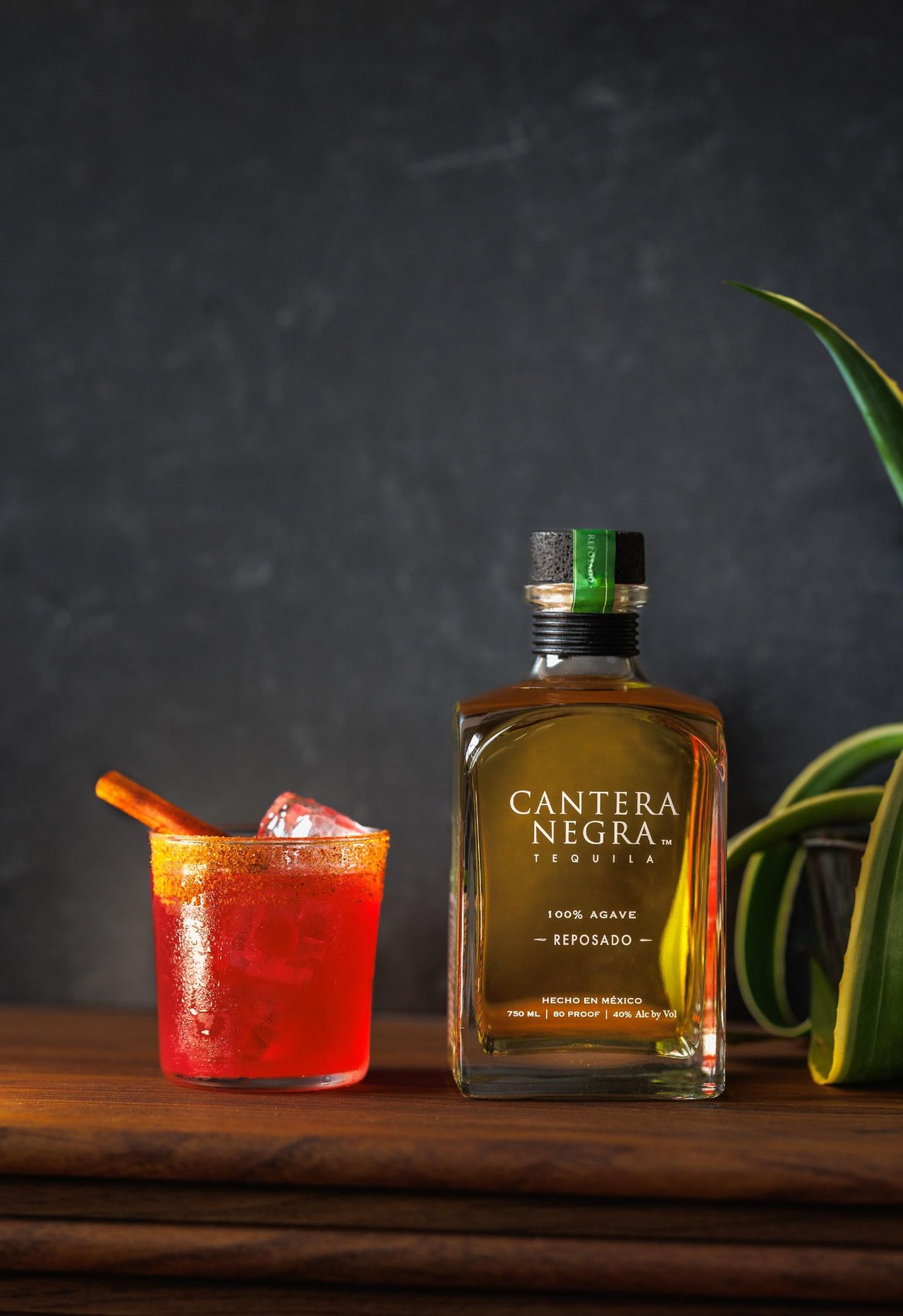 Ricetta_4_Cantera_Negra__Winter_Marg_AlVKzHDXzJ - Confidenze24 Source: Cantera Negra - - Cantera Negra - Winter Marg