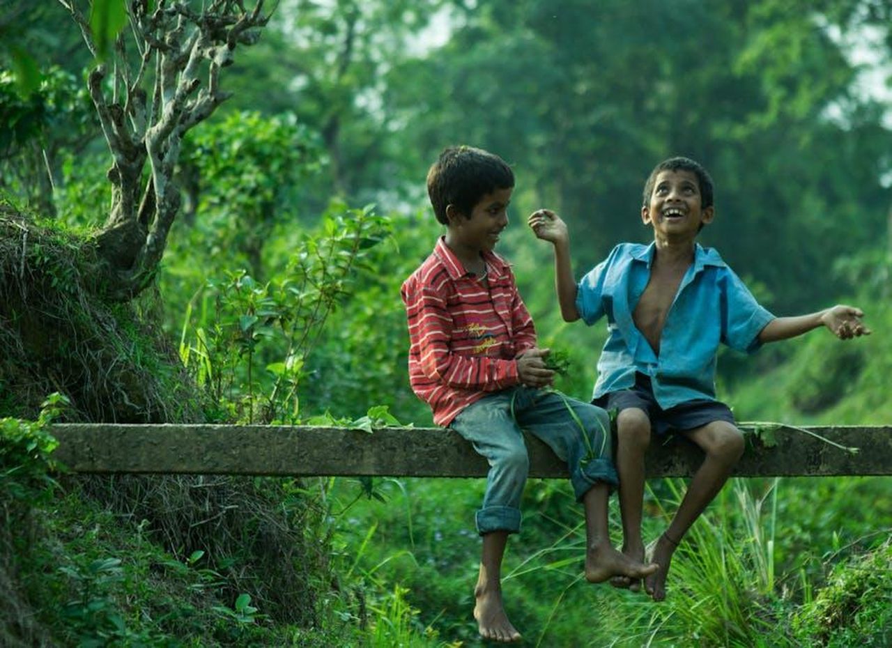 Riflessioni_di_Savannah_Guthrie_sulla_Visita_di_Hoda_bHlh8O4tZG - Confidenze24 Source: sudip paul - pexels - Two boys enjoying playful moments on a tree branch in a lush park setting.